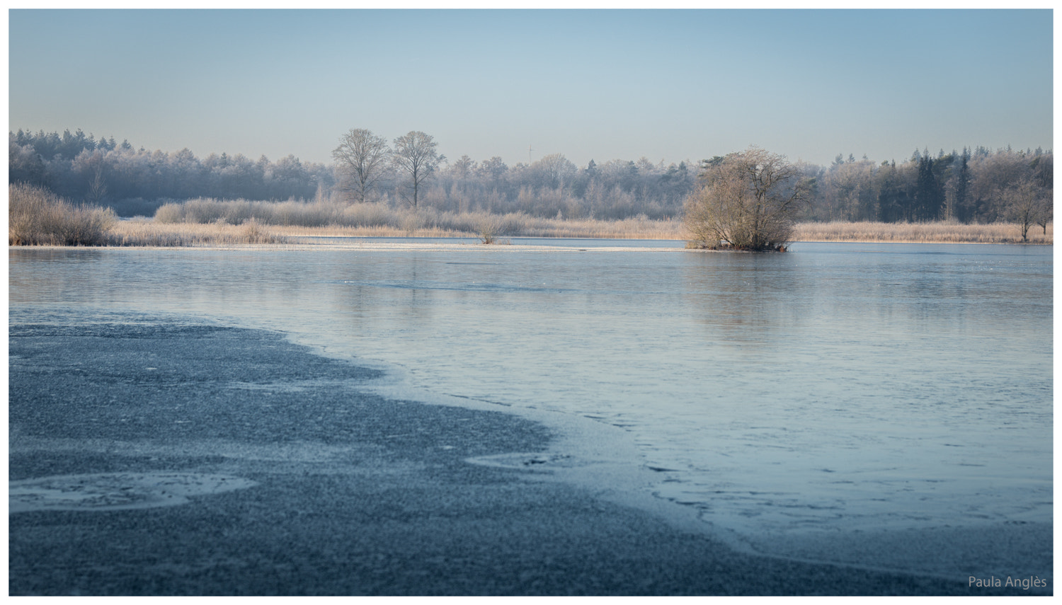 Sony a99 II sample photo. Winter grootmeer photography