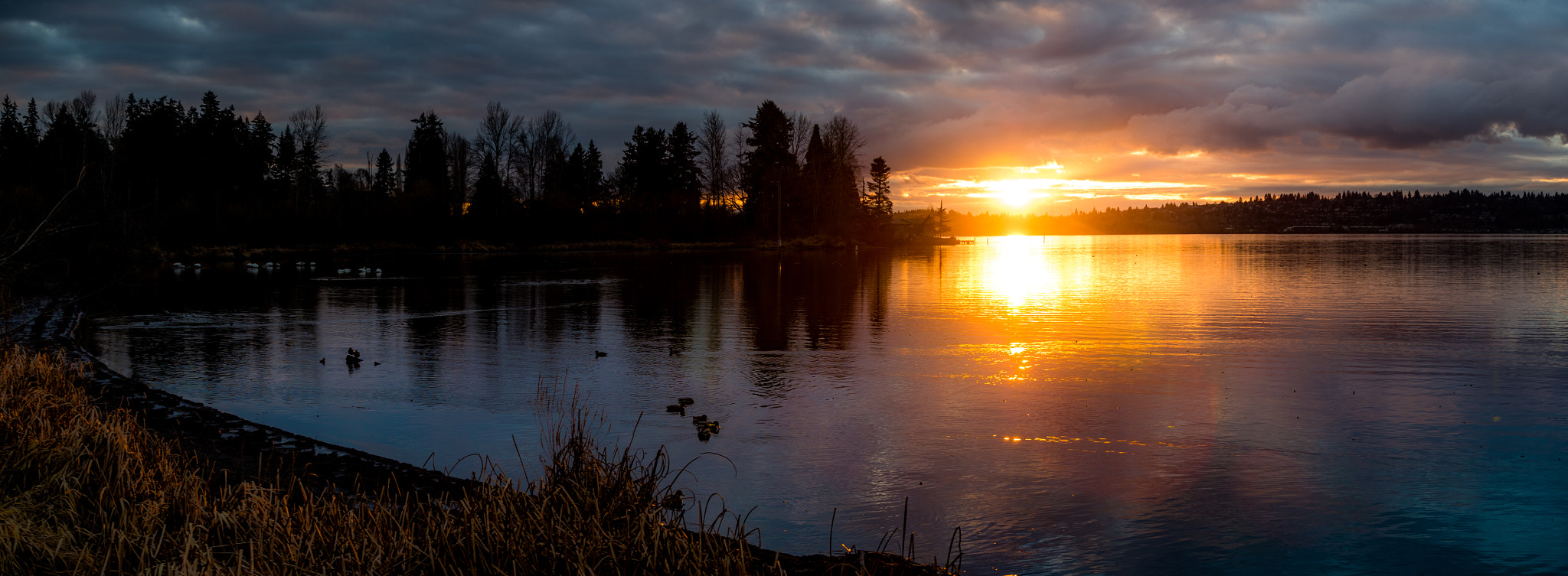 Olympus OM-D E-M5 II + Panasonic Lumix G X Vario 35-100mm F2.8 OIS sample photo. Juanita bay sunset panorama photography