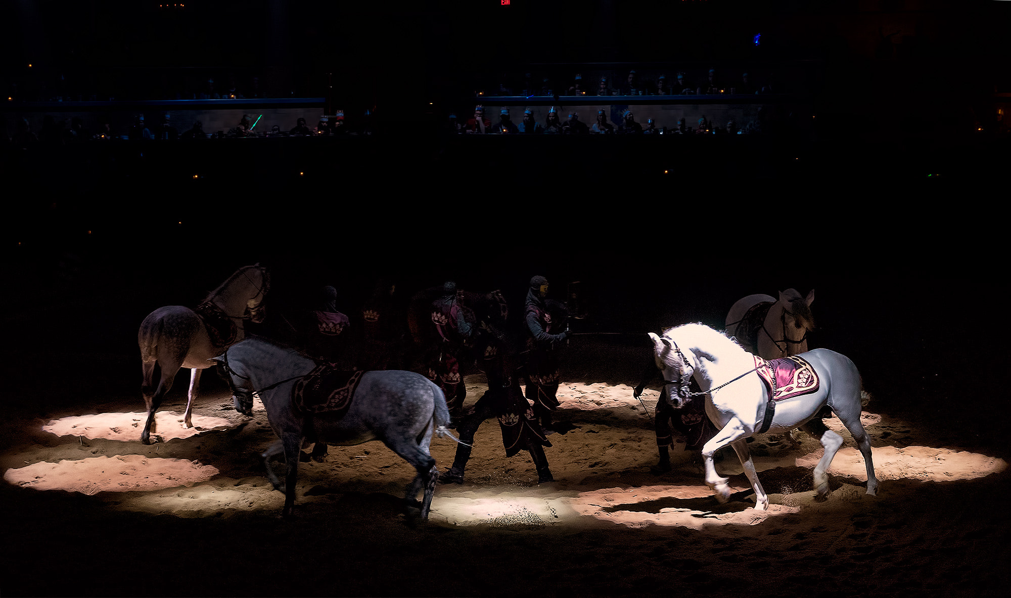 Sony a7 sample photo. Spanish horse photography