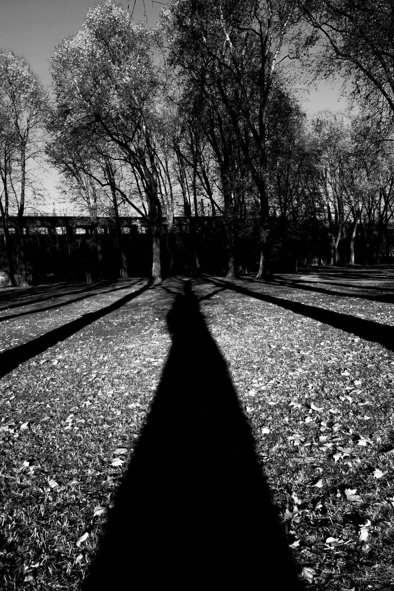 Olympus OM-D E-M1 sample photo. Long shadows photography