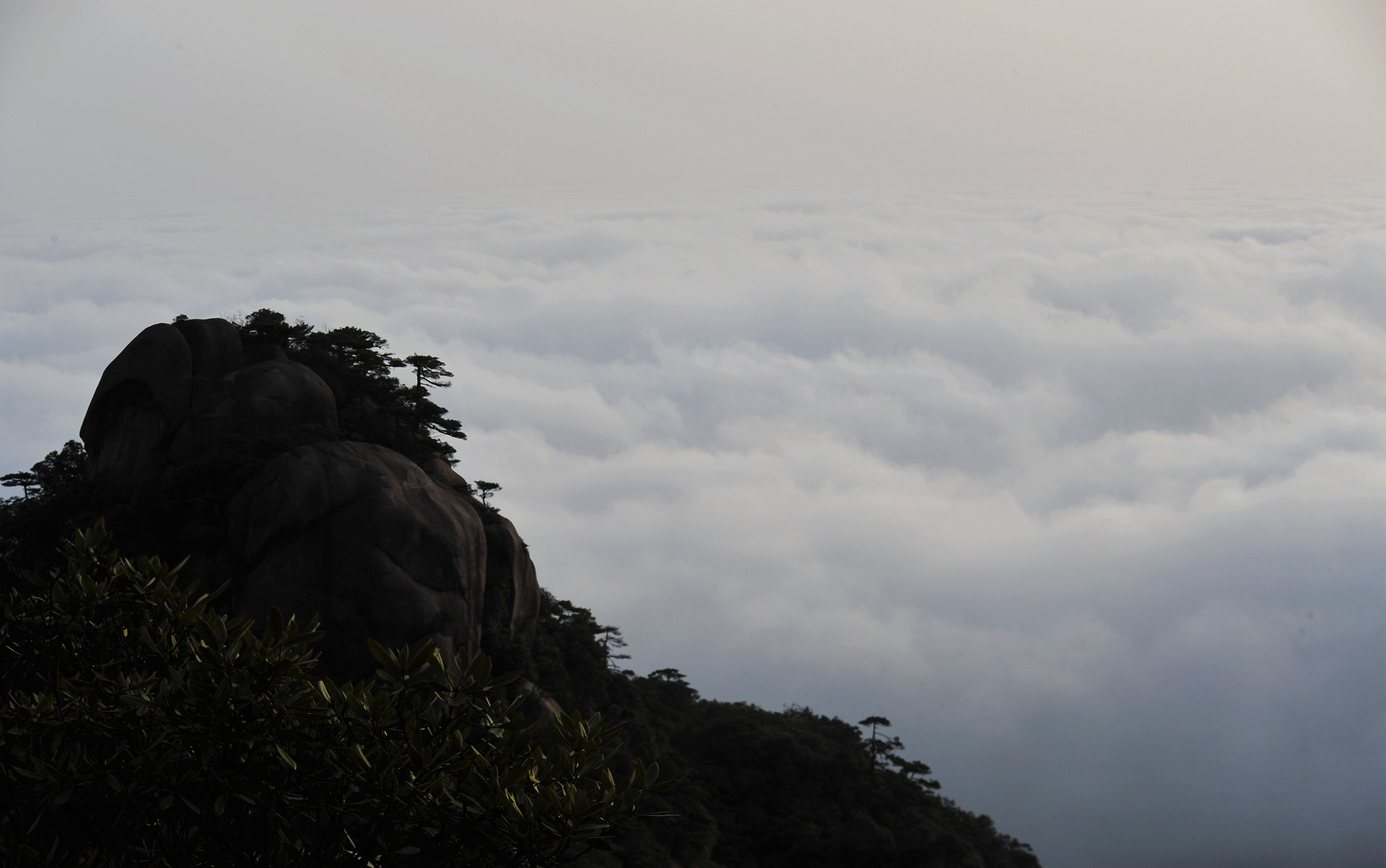 Nikon D3 sample photo. Fog colors photography