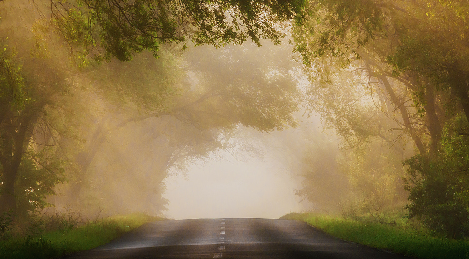 Tamron SP AF 70-200mm F2.8 Di LD (IF) MACRO sample photo. Road to nowhere photography