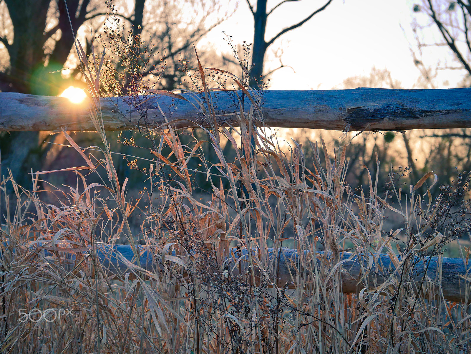 LUMIX G VARIO 35-100/F4.0-5.6 sample photo. Cold sunset photography