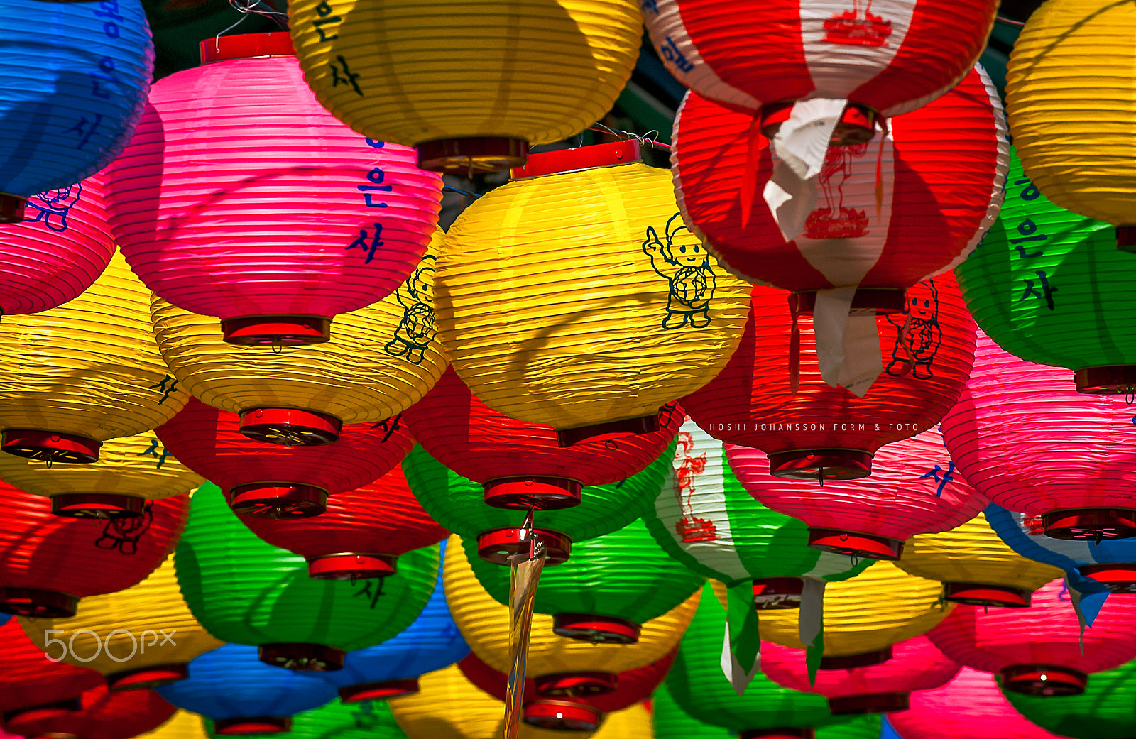Nikon D200 sample photo. We gotta live together photography