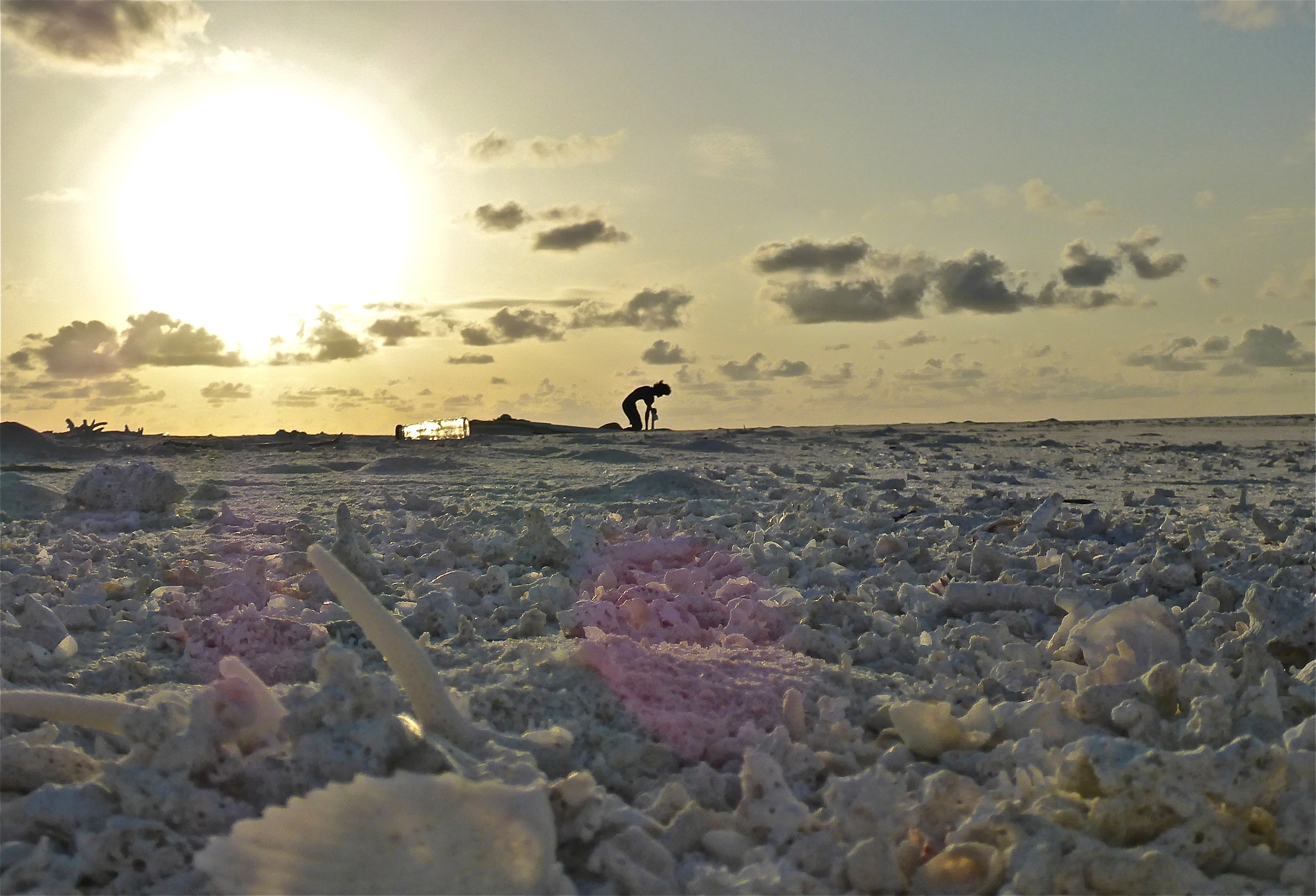 Panasonic Lumix DMC-TS5 (Lumix DMC-FT5) sample photo. Maldives 08 (working class hero) photography