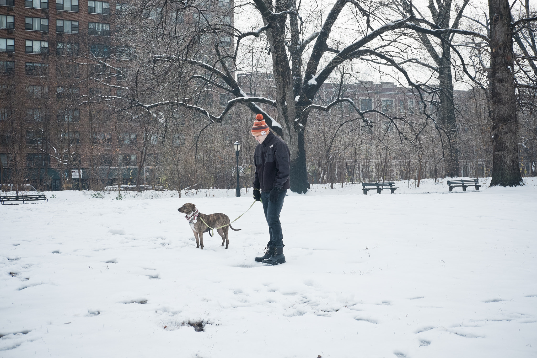 Fujifilm X-M1 + Fujifilm XF 35mm F2 R WR sample photo. A man and his dog photography