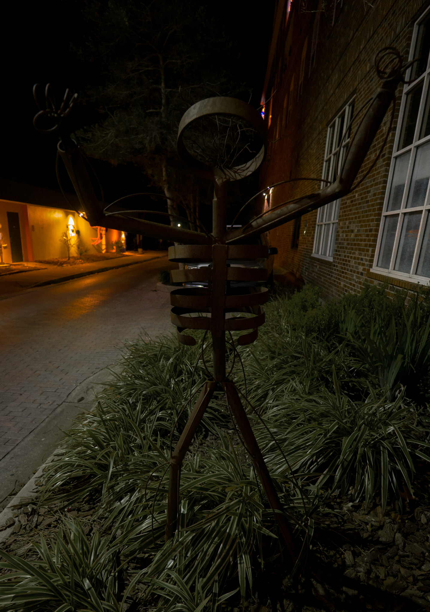 ZEISS Batis 18mm F2.8 sample photo. Creeper photography