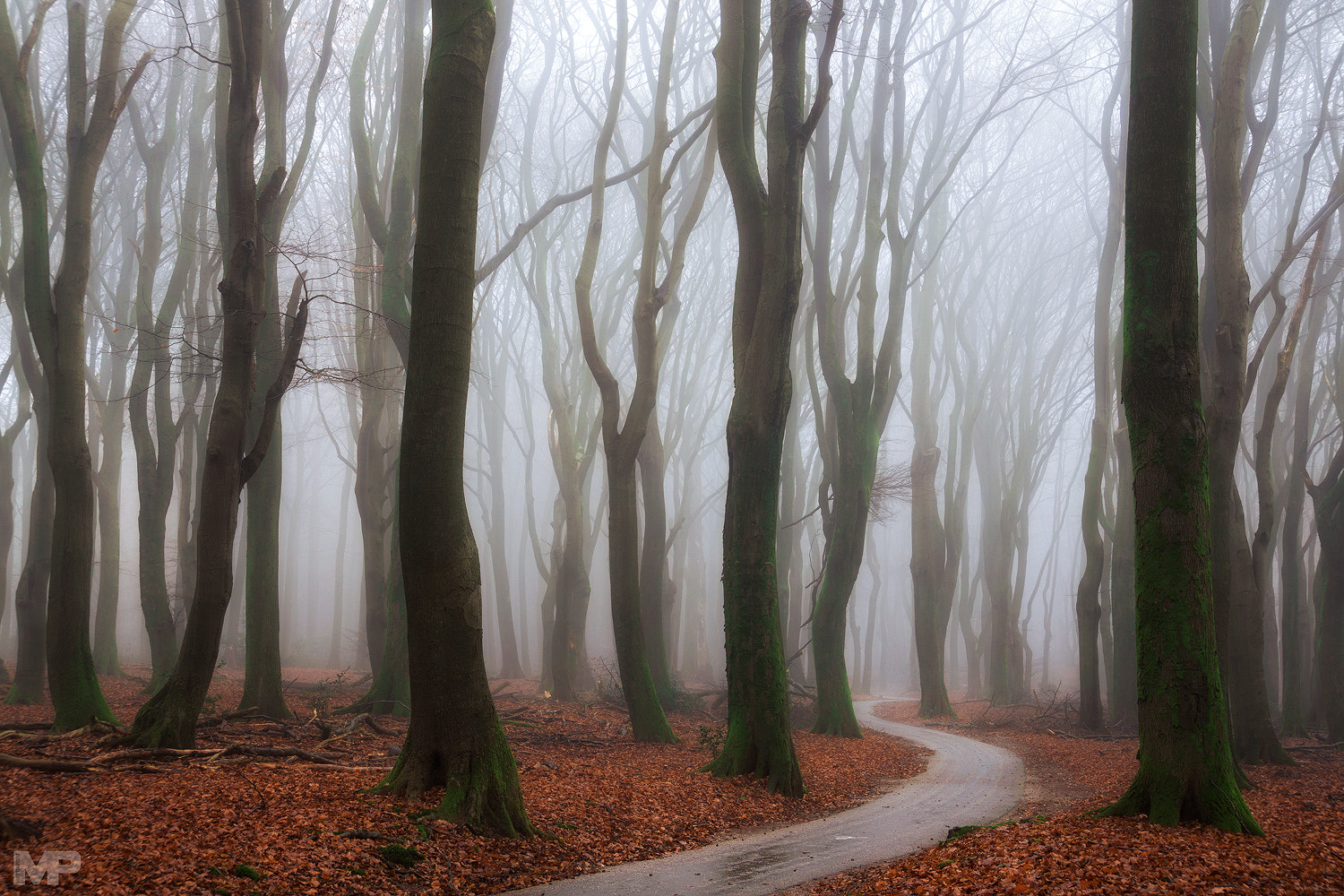 Sony E 18-200mm F3.5-6.3 OSS sample photo. Dancing in the mist photography