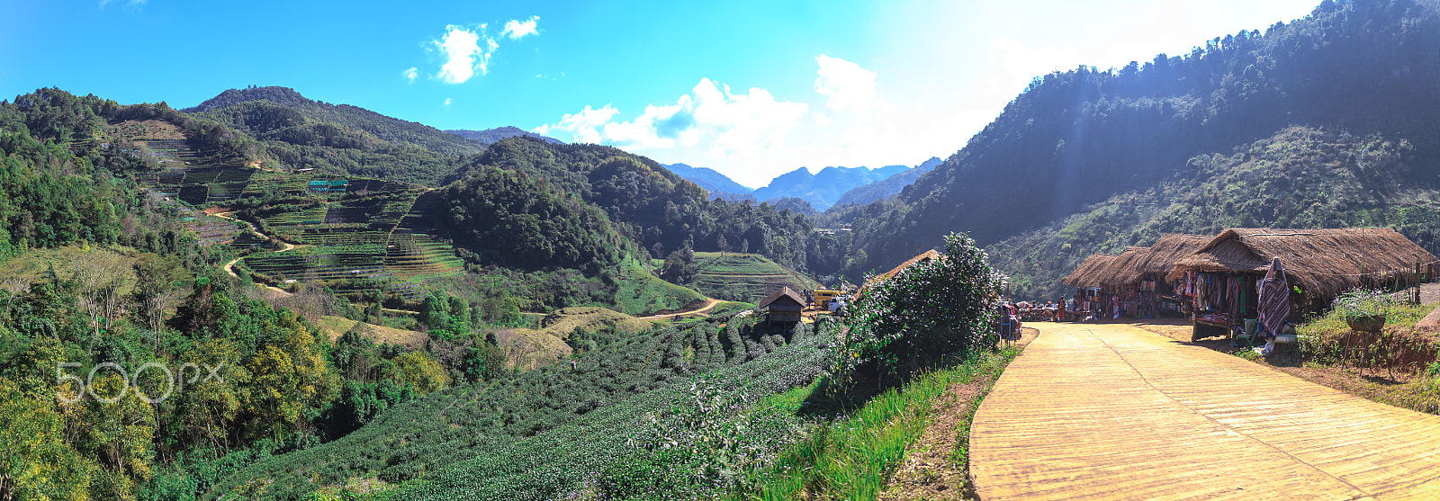 Sigma 18-35mm f/1.8 DC HSM sample photo. Tea farm and a tribal market photography