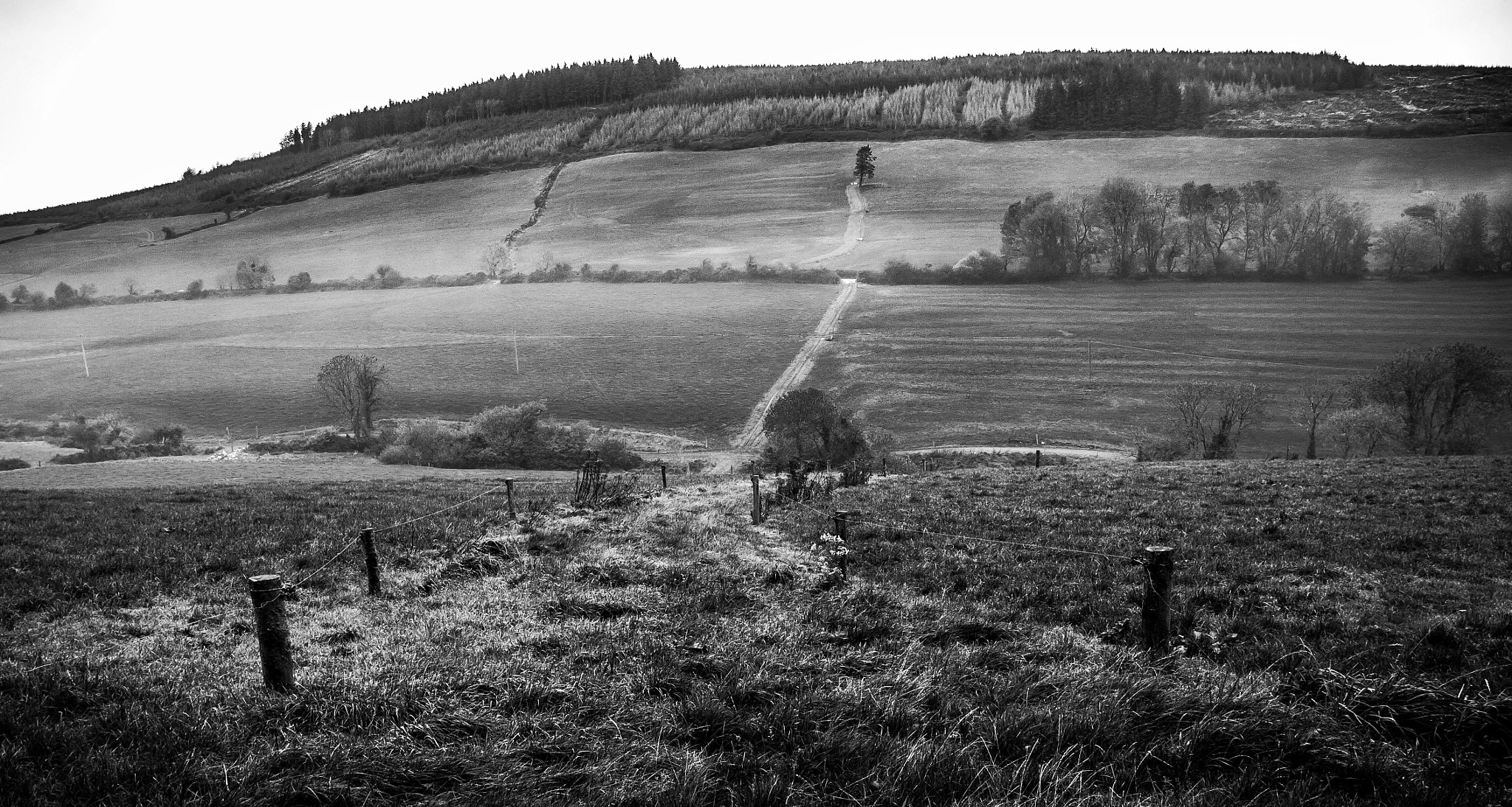 Tamron SP AF 17-50mm F2.8 XR Di II LD Aspherical (IF) sample photo. Hill with tree photography