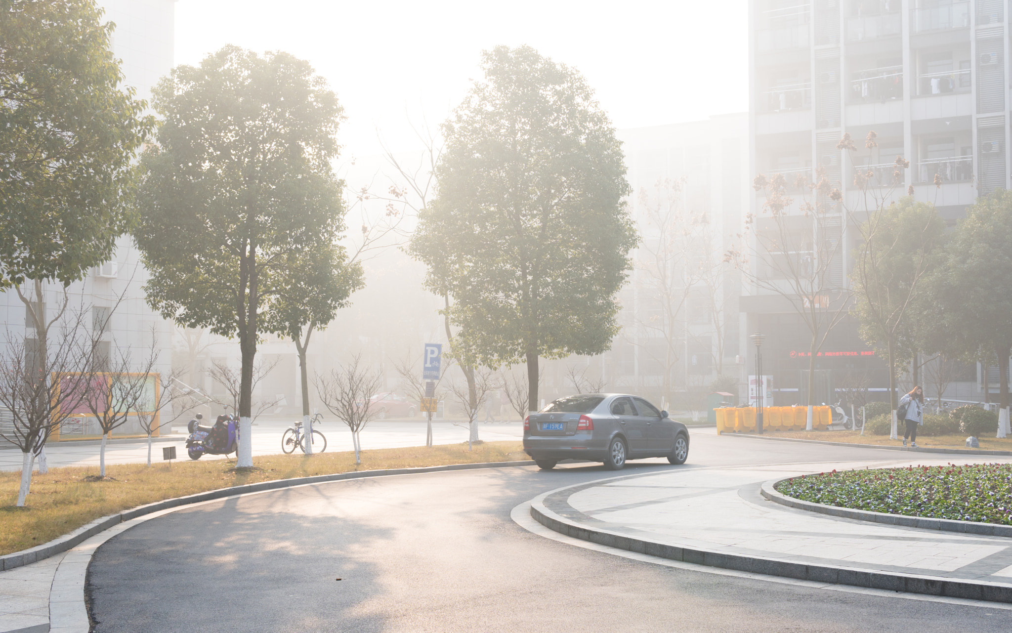 Sony a6300 + 30mm F1.4 DC DN | Contemporary 016 sample photo. A foggy morning, and the sunshine was just great! photography