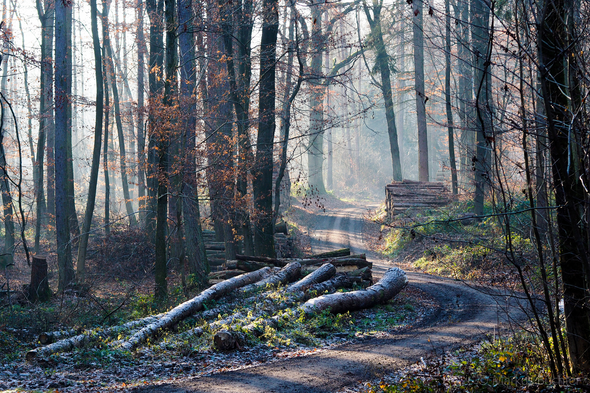 Olympus PEN-F sample photo. A winters walk photography