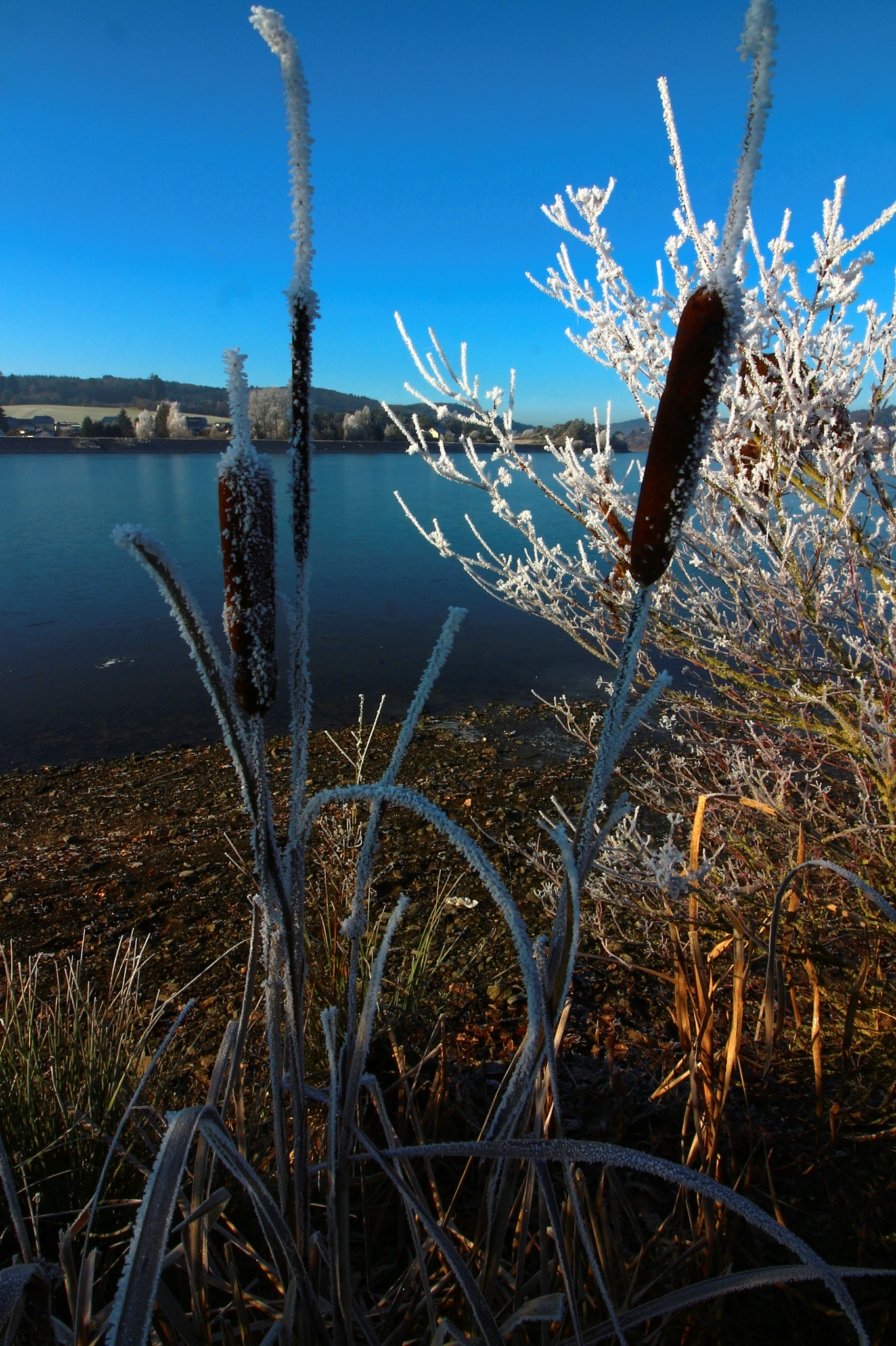 Canon EOS M10 sample photo. 2016-12-30 winter am aartalsee 2 photography