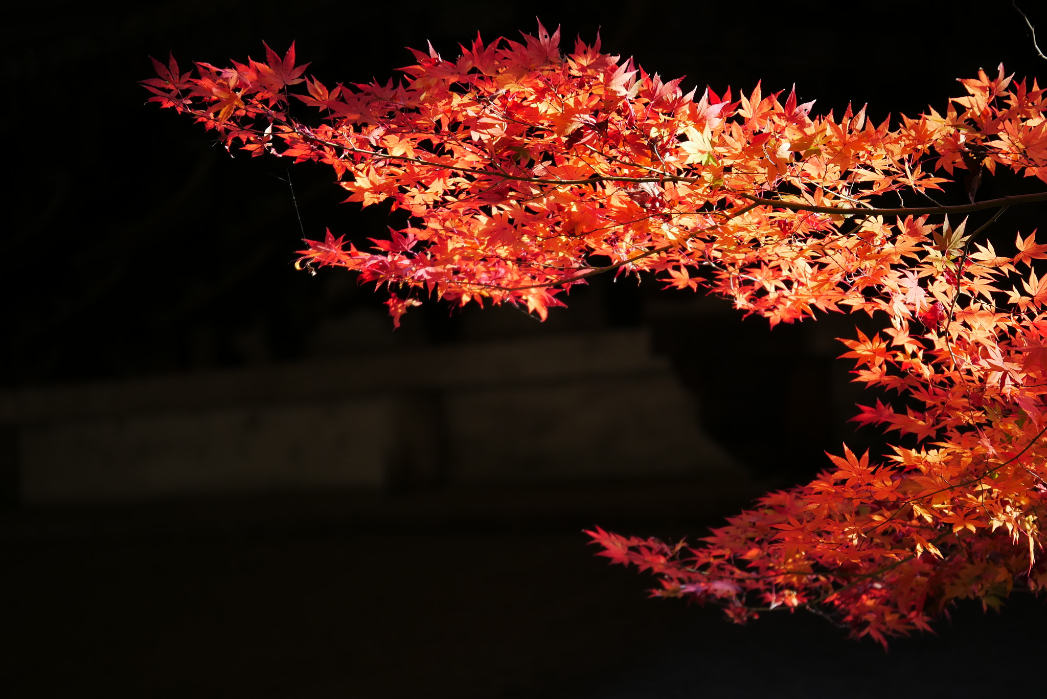 Panasonic Lumix DMC-GX85 (Lumix DMC-GX80 / Lumix DMC-GX7 Mark II) sample photo
