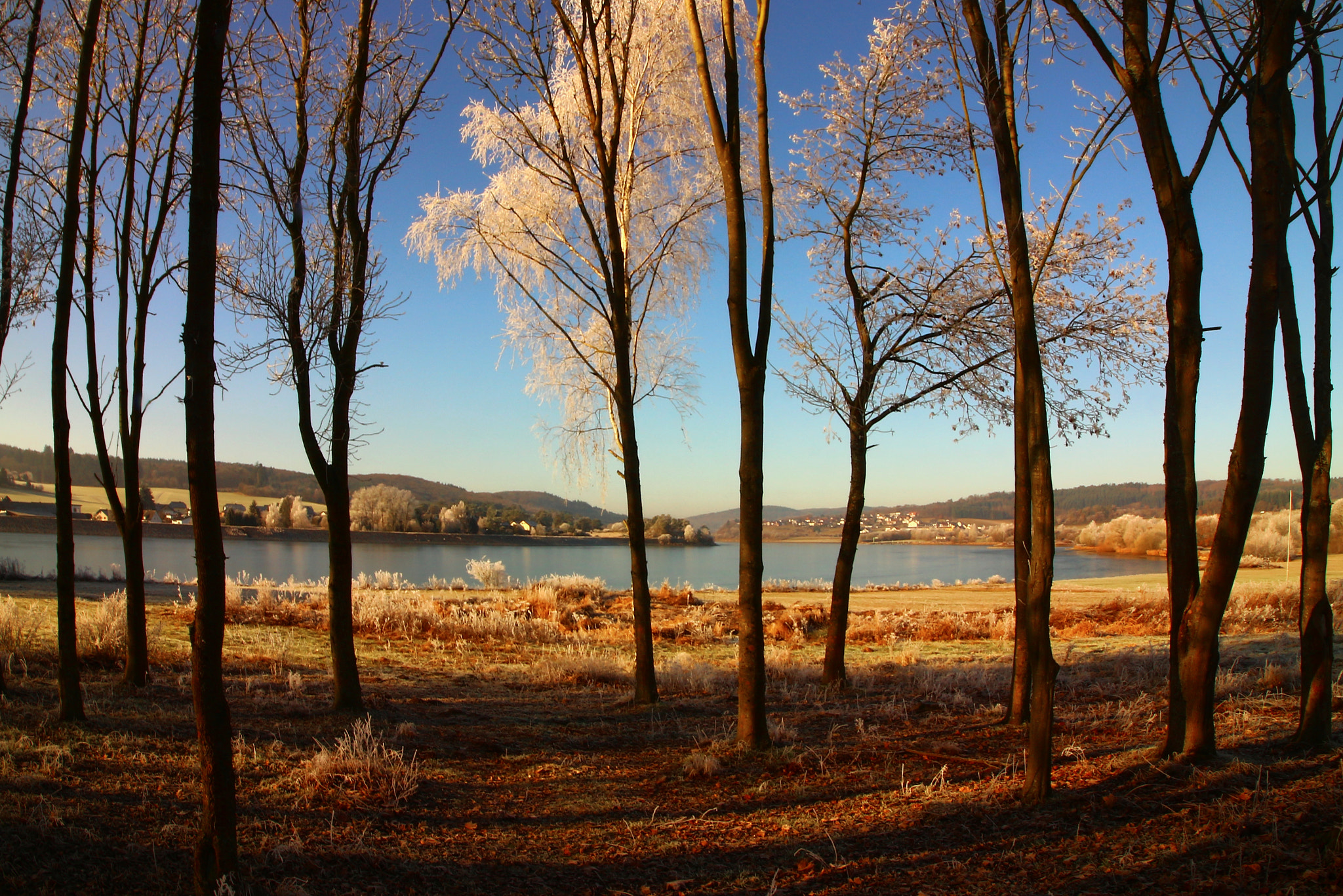 Canon EOS M10 sample photo. 2016-12-30 winter am aartalsee part 5 photography