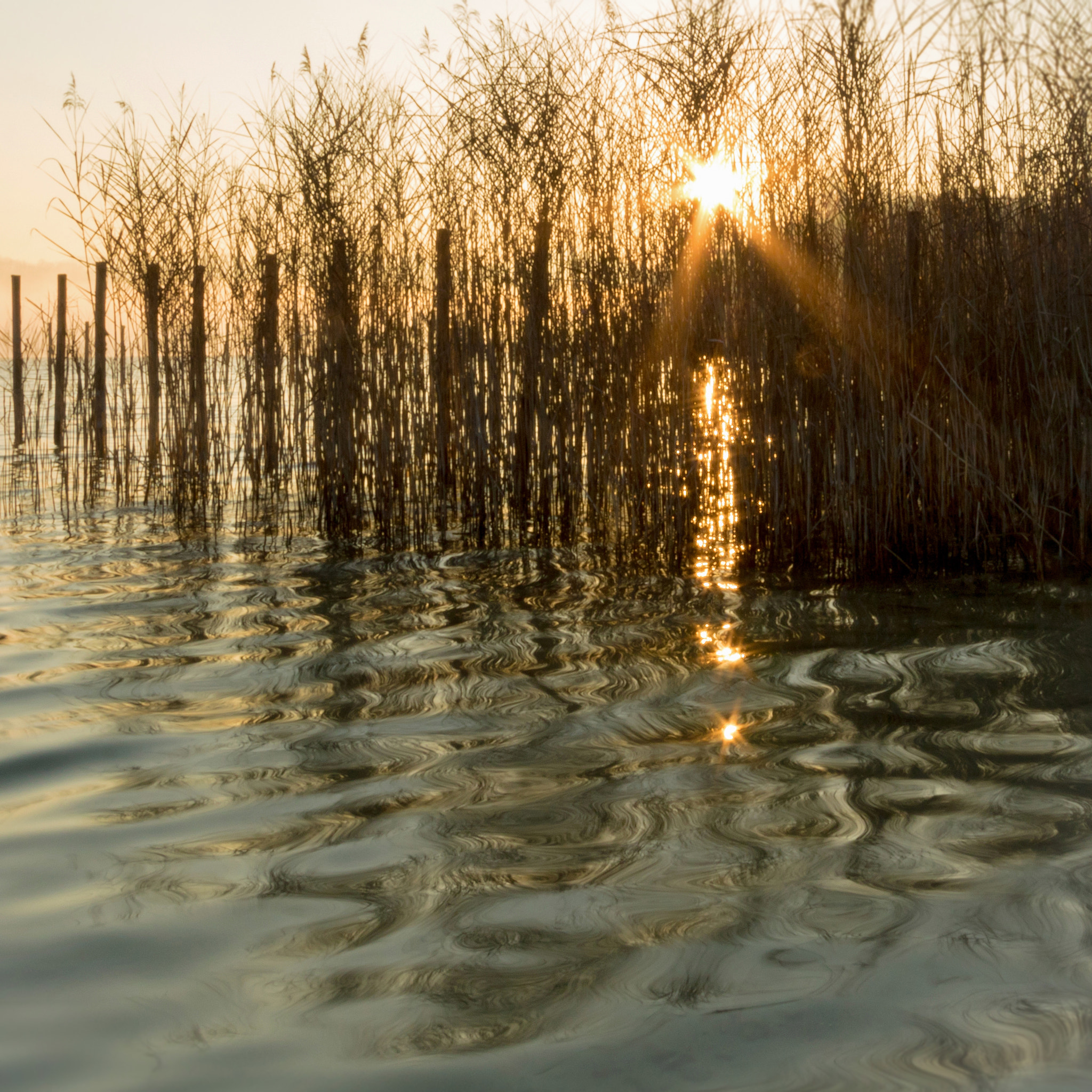 Canon EOS 760D (EOS Rebel T6s / EOS 8000D) sample photo. Reveillon sur le lac d'aiguebelette. photography