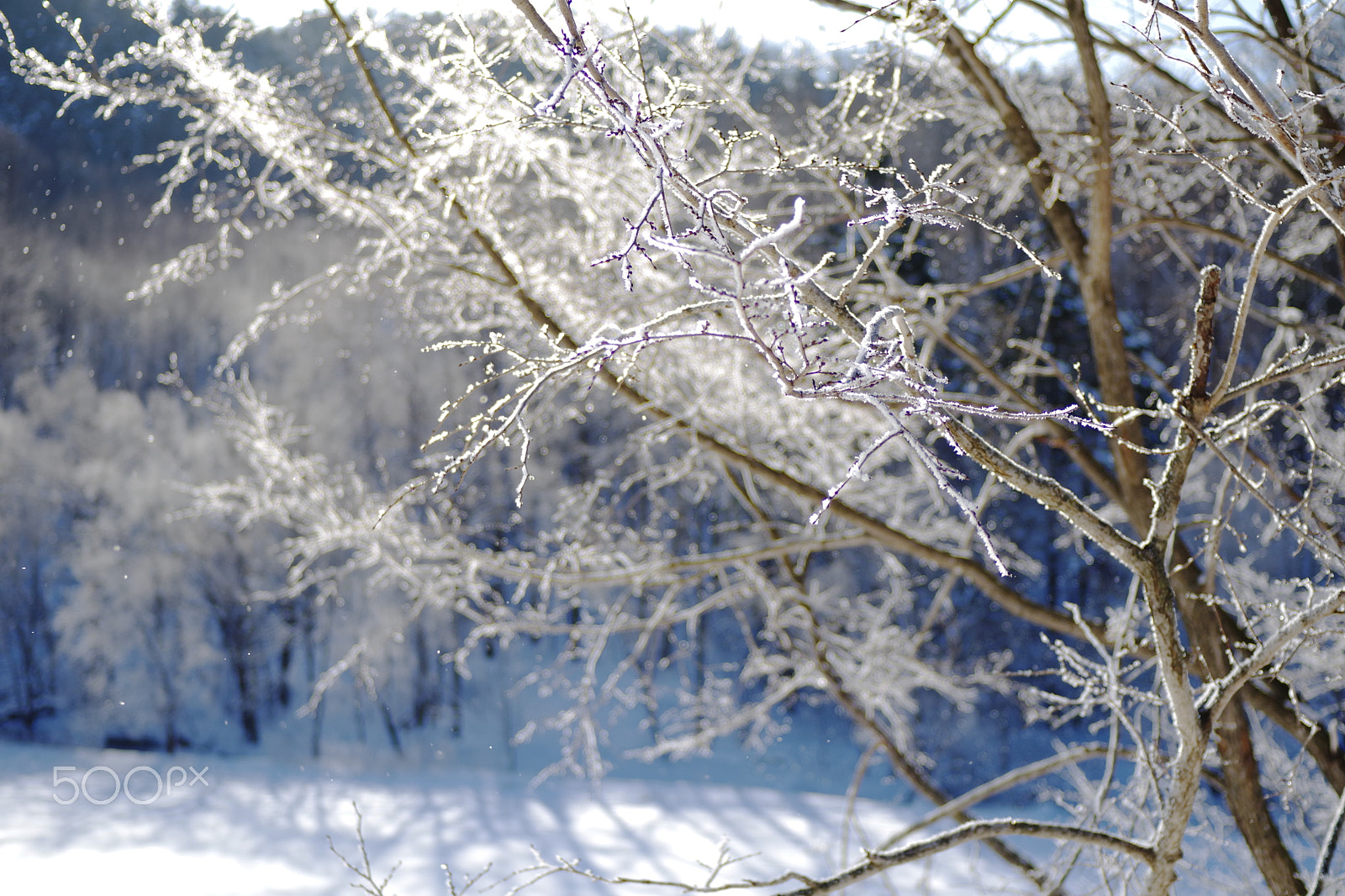 Pentax K-70 sample photo. Snow fairy photography