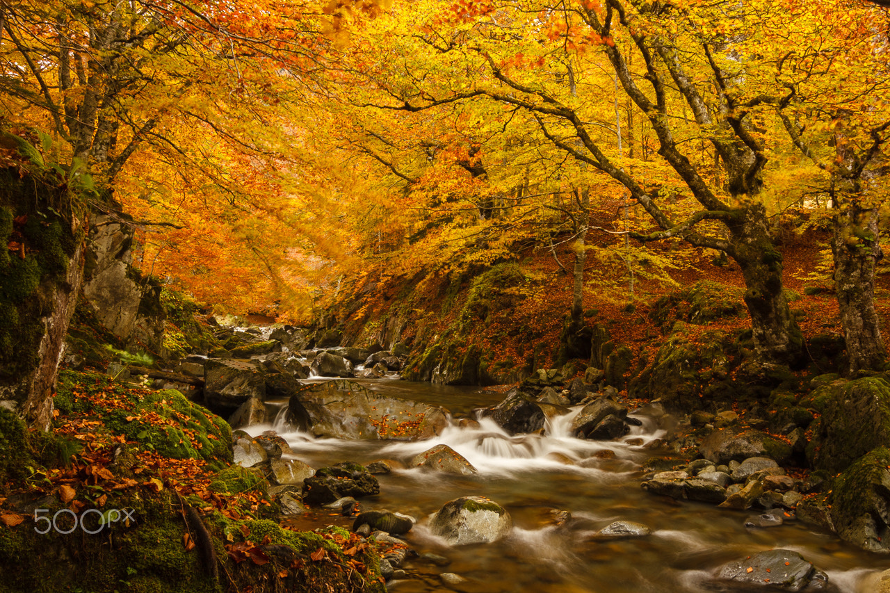 Tokina AT-X Pro 12-24mm F4 (IF) DX sample photo. Gave de brousset (ossau valley) photography