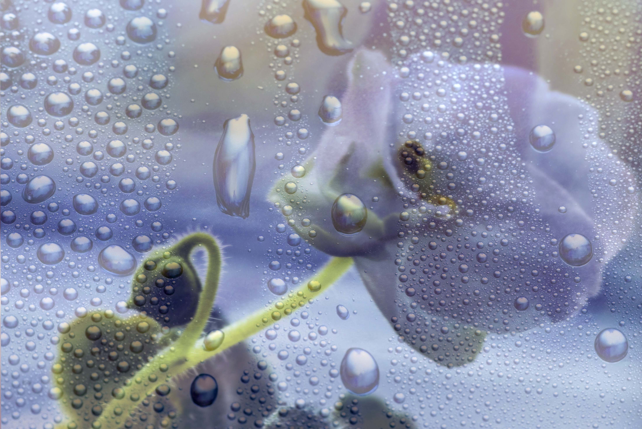 Nikon D3200 sample photo. Behind the glass photography