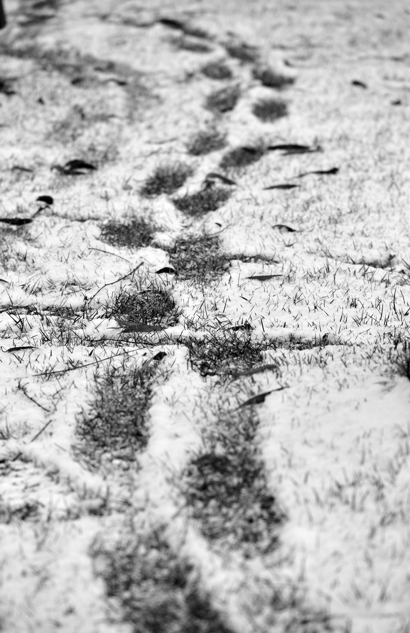 Nikon AF-S DX Micro-Nikkor 85mm F3.5G ED VR sample photo. Steps photography