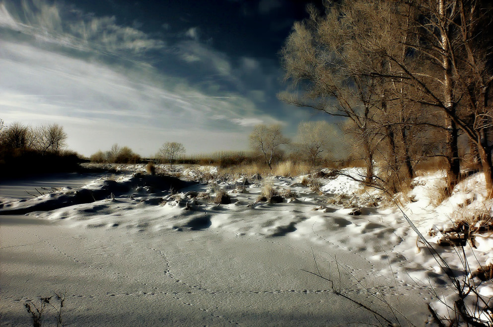 Nikon D50 sample photo. Tropes photography