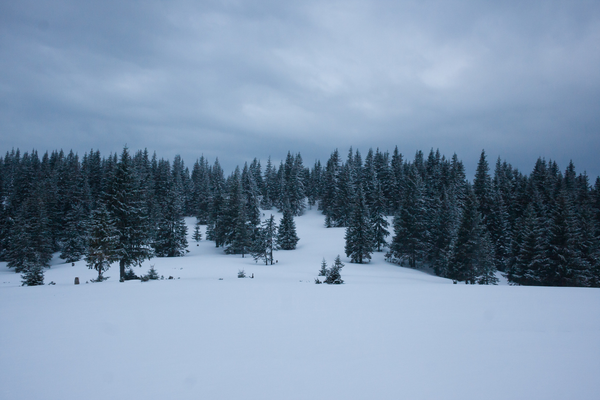 Canon EF-S 18-55mm F3.5-5.6 II sample photo. Minimal estonia flag photography