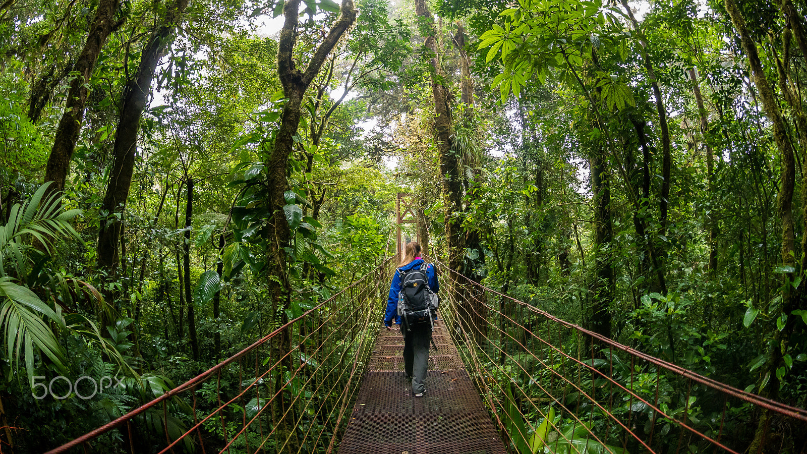 Panasonic Lumix DMC-G6 sample photo. Costa rica photography