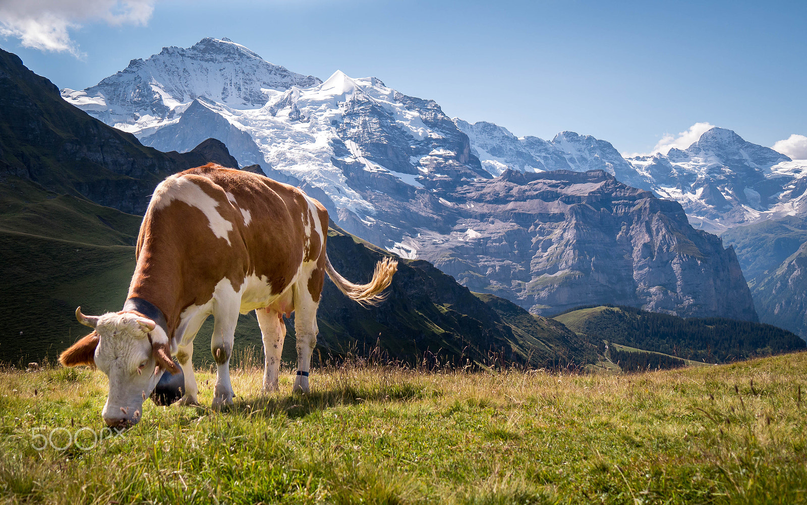 Panasonic Lumix DMC-G6 sample photo. Männlichen, jungfraujoch, schweiz photography