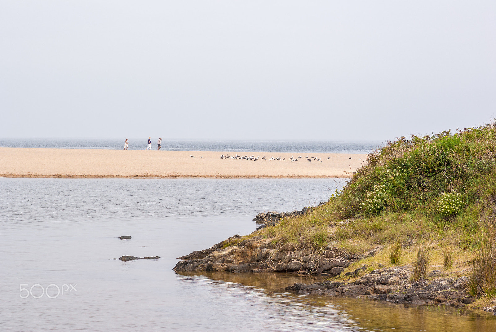 Pentax K10D + Pentax smc D-FA 100mm F2.8 macro sample photo. Beach from lagoon photography