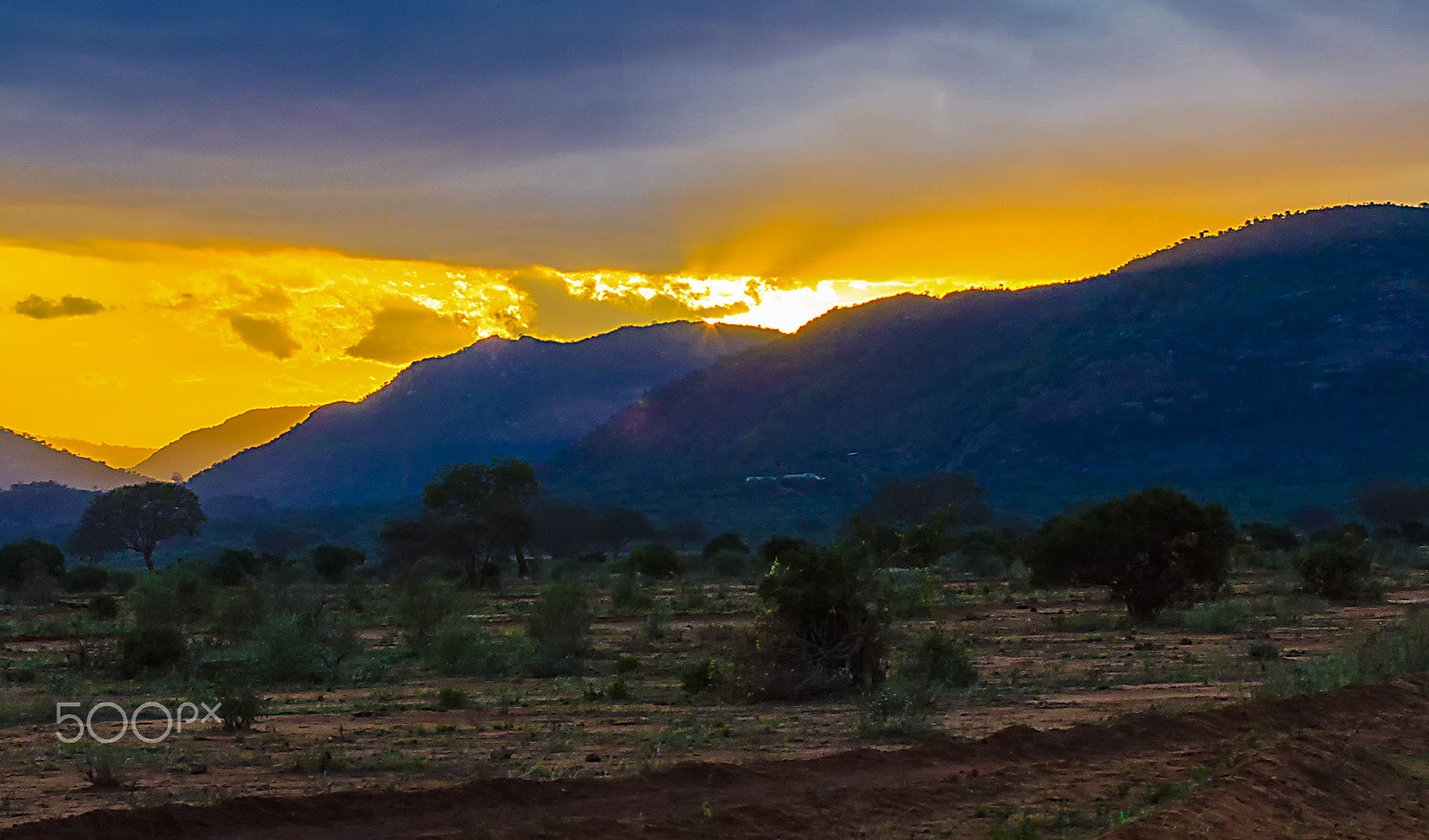 Canon EOS 50D + Canon EF 70-200mm F4L USM sample photo. Gold hour at tsavo east national park - kenya photography