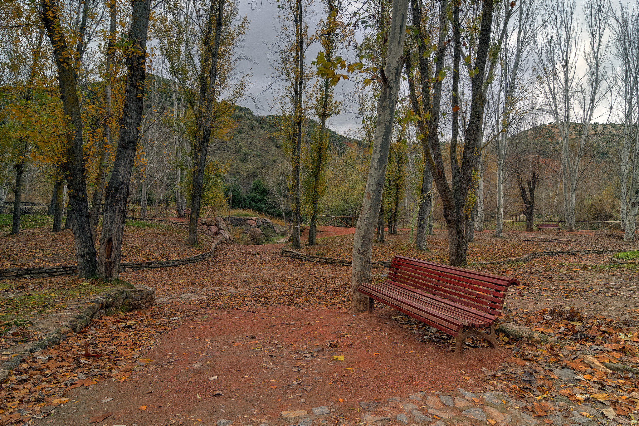 Tokina AT-X Pro 12-24mm F4 (IF) DX sample photo. Rojo otoño photography