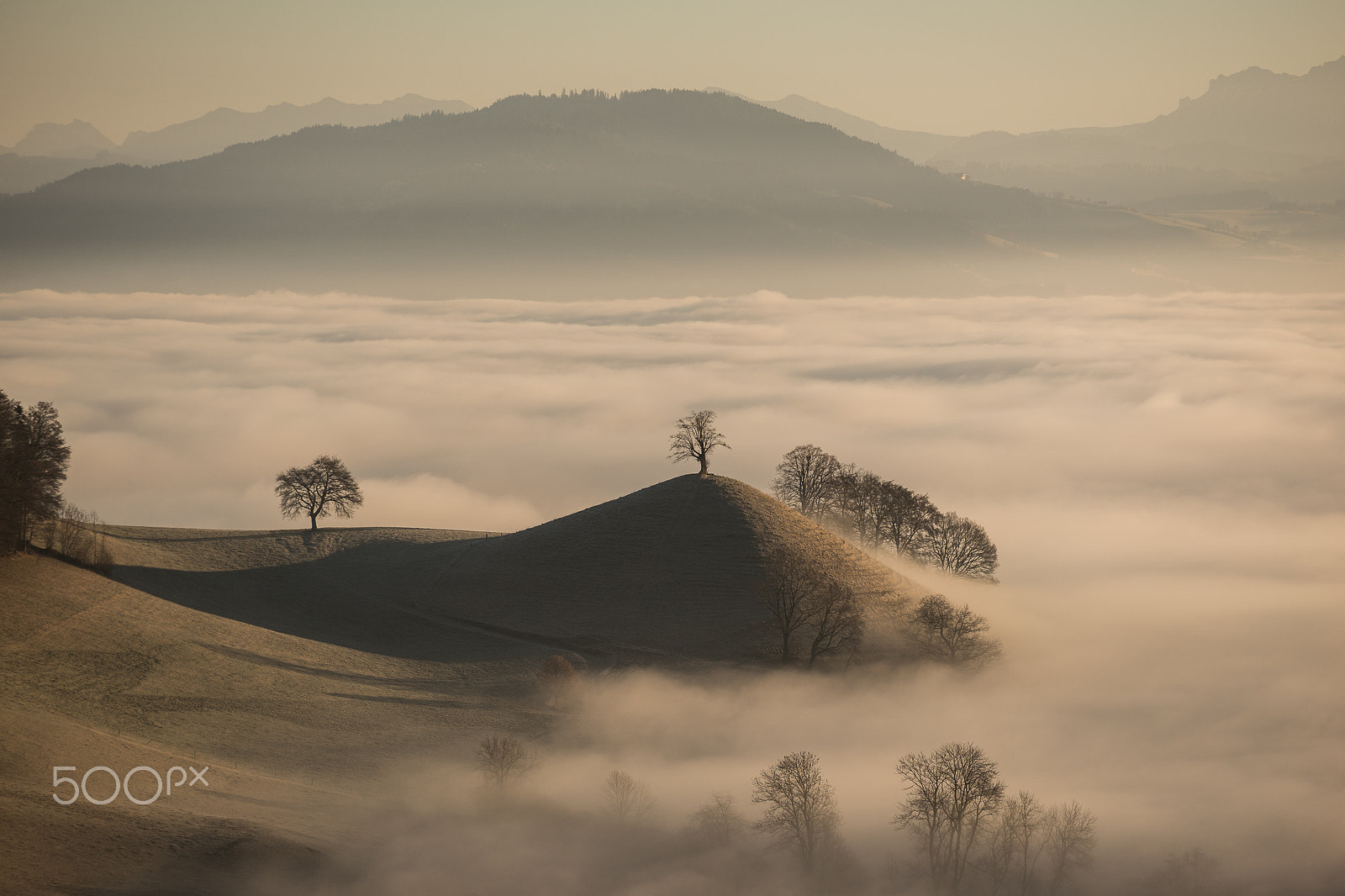 Sony a99 II + Minolta/Sony AF 70-200mm F2.8 G sample photo. Burgistein photography