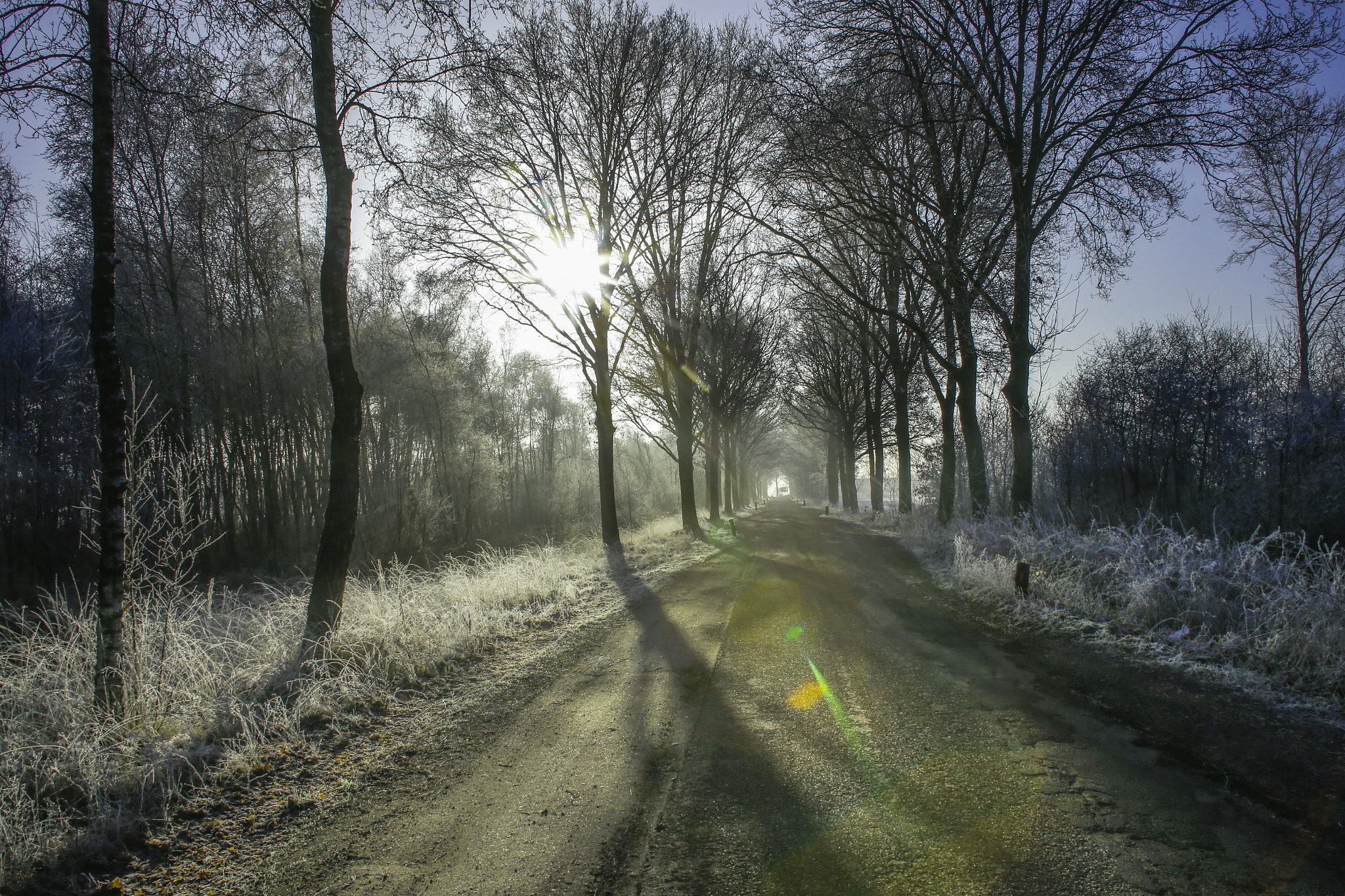 Canon EF 28-135mm F3.5-5.6 IS USM sample photo. Winterlandscape photography