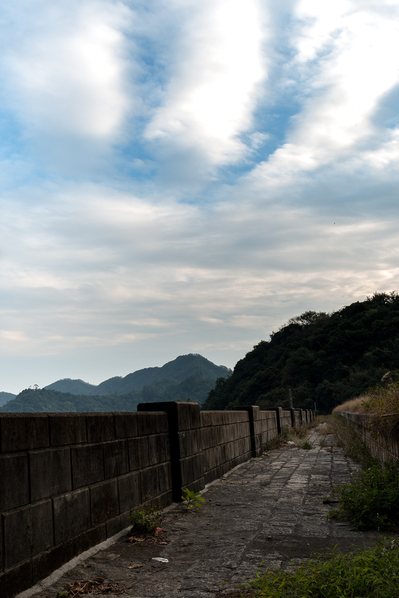 Canon EF 16-35mm F4L IS USM sample photo. Shing mun country park reserovir photography