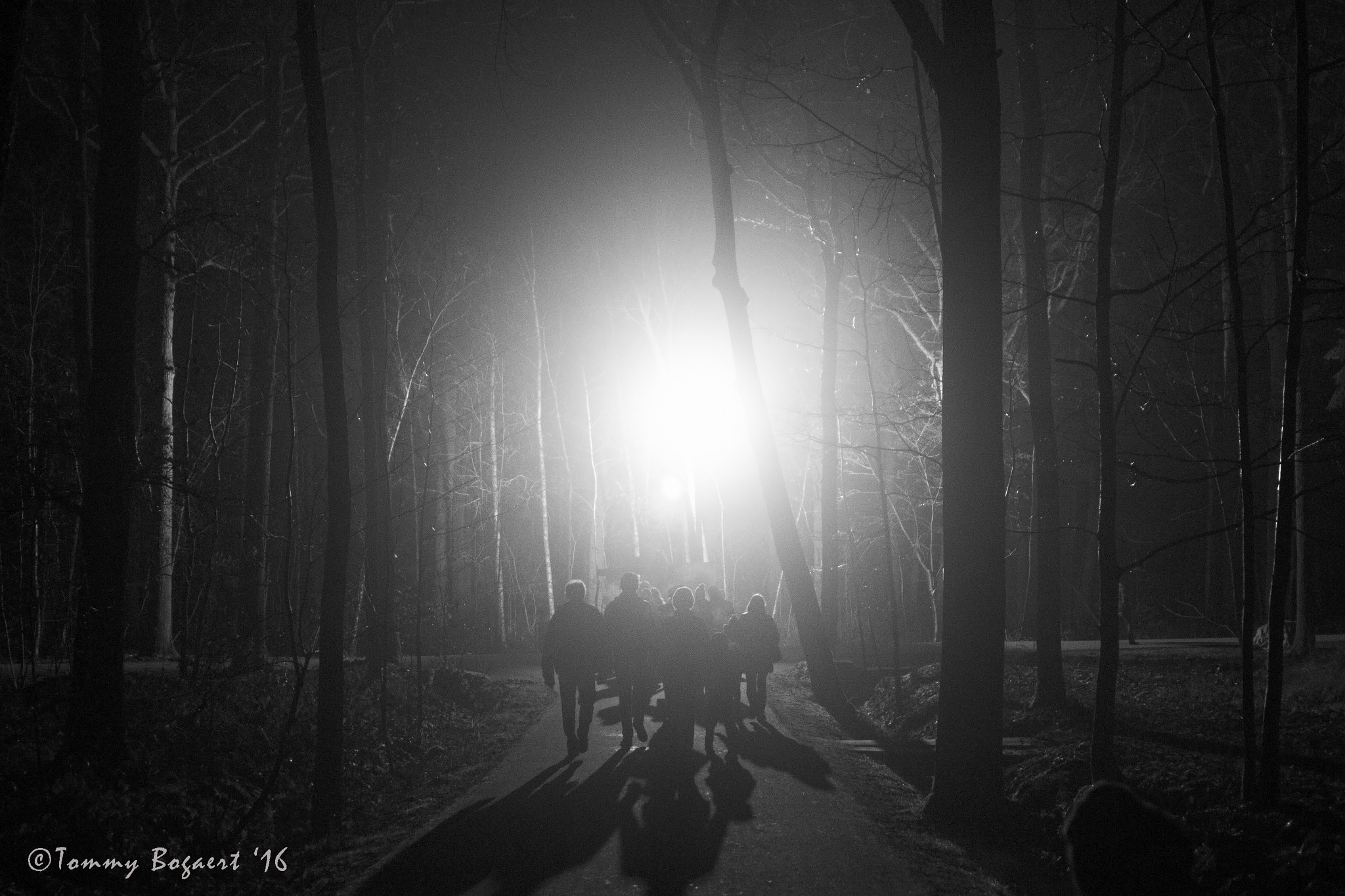 Canon EF 28-105mm f/3.5-4.5 USM sample photo. Let the light guide us... photography