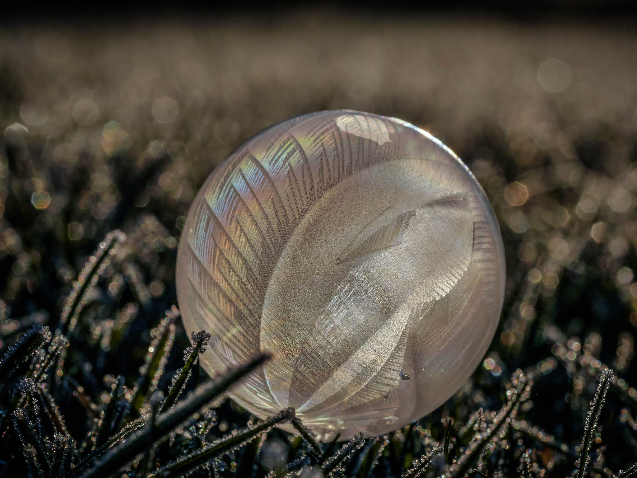 Panasonic Lumix DMC-G6 + Olympus M.Zuiko Digital ED 60mm F2.8 Macro sample photo. Frozen bubble photography