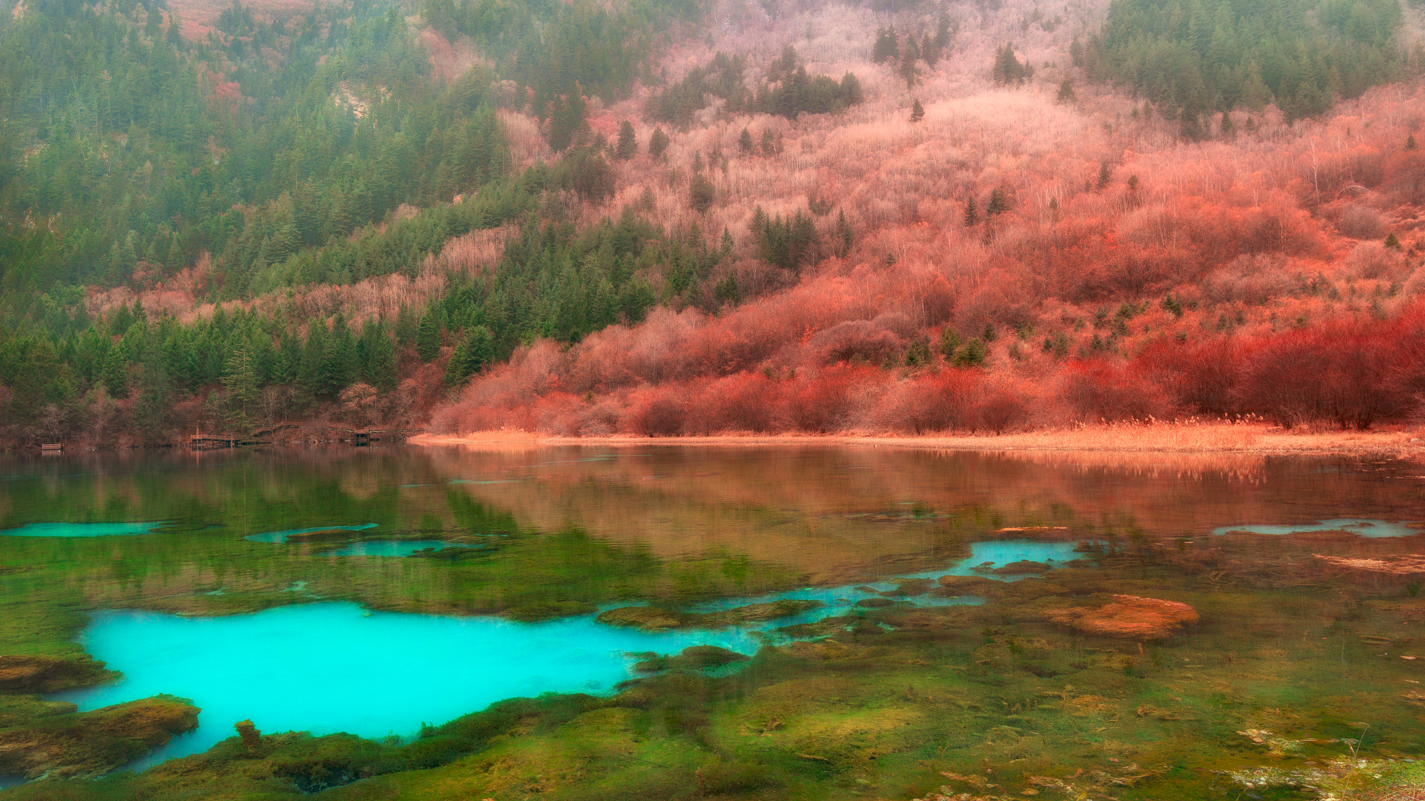 Canon EF 300mm f/2.8L sample photo. Jade pool from dream photography
