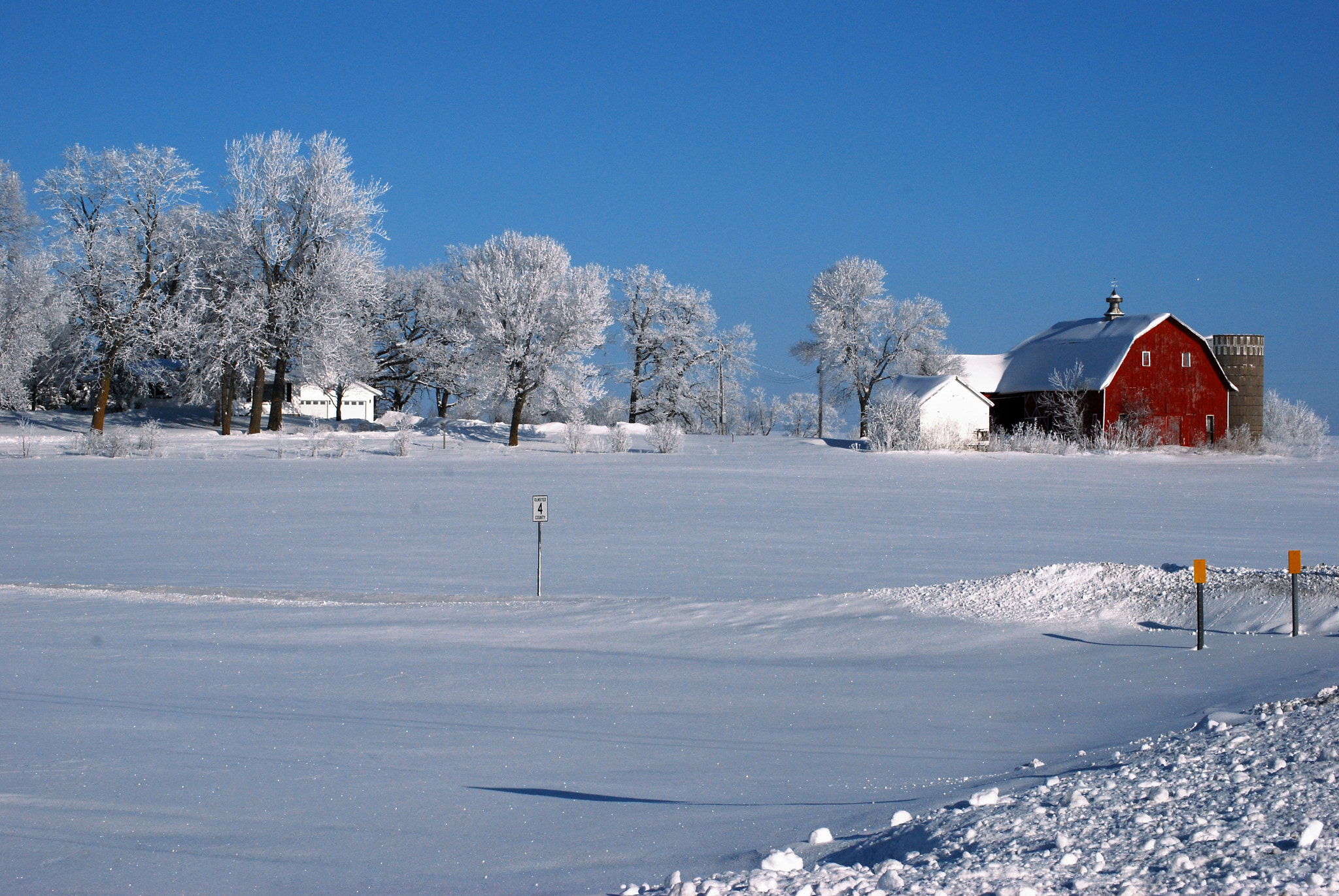 Nikon D60 sample photo. Cold sunshine photography