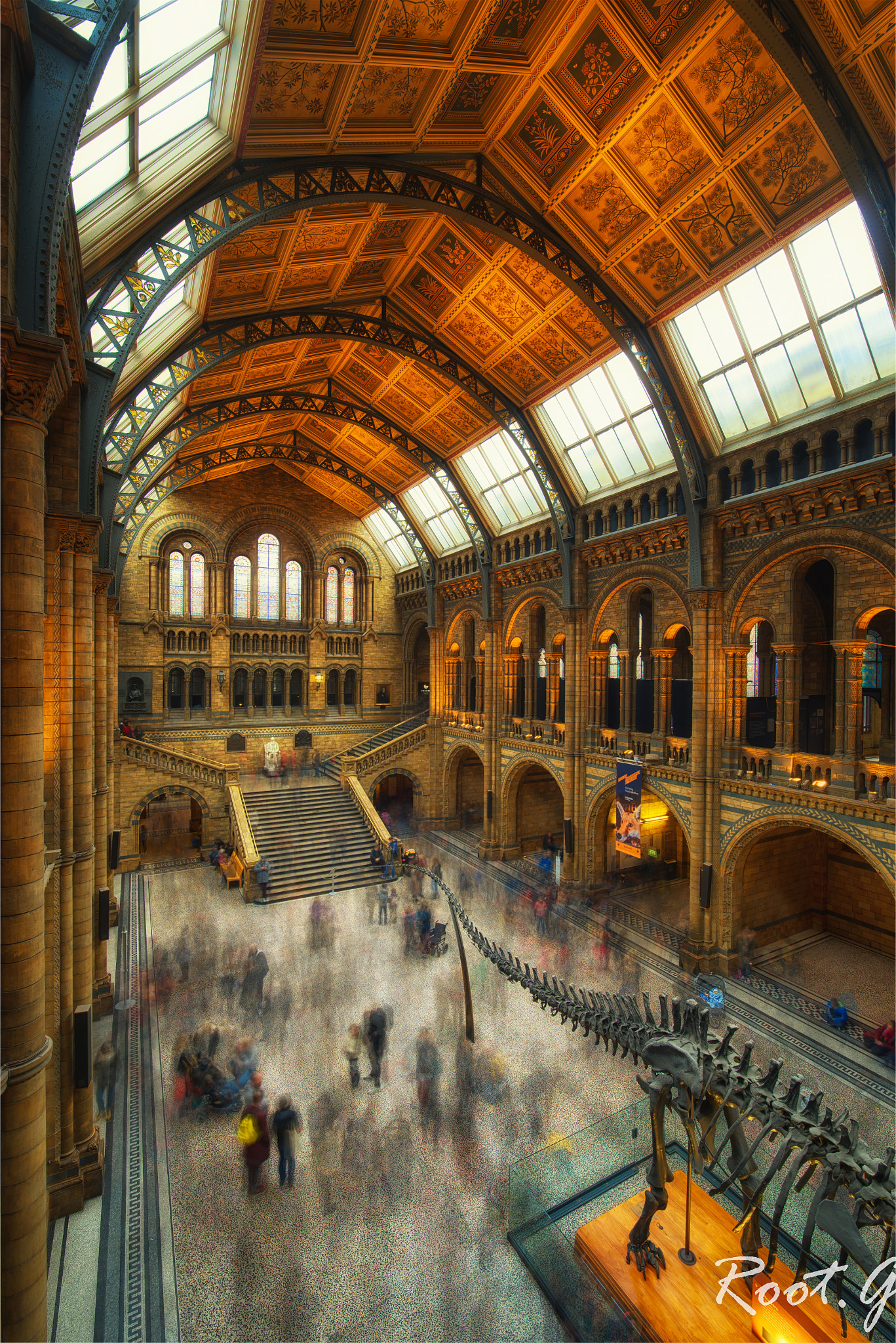 ZEISS Distagon T* 15mm F2.8 sample photo. Natural history museum photography