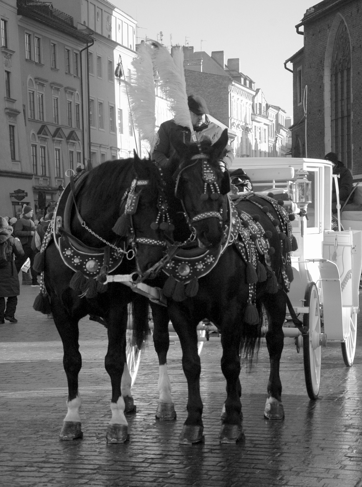 Nikon D70s sample photo. True love photography