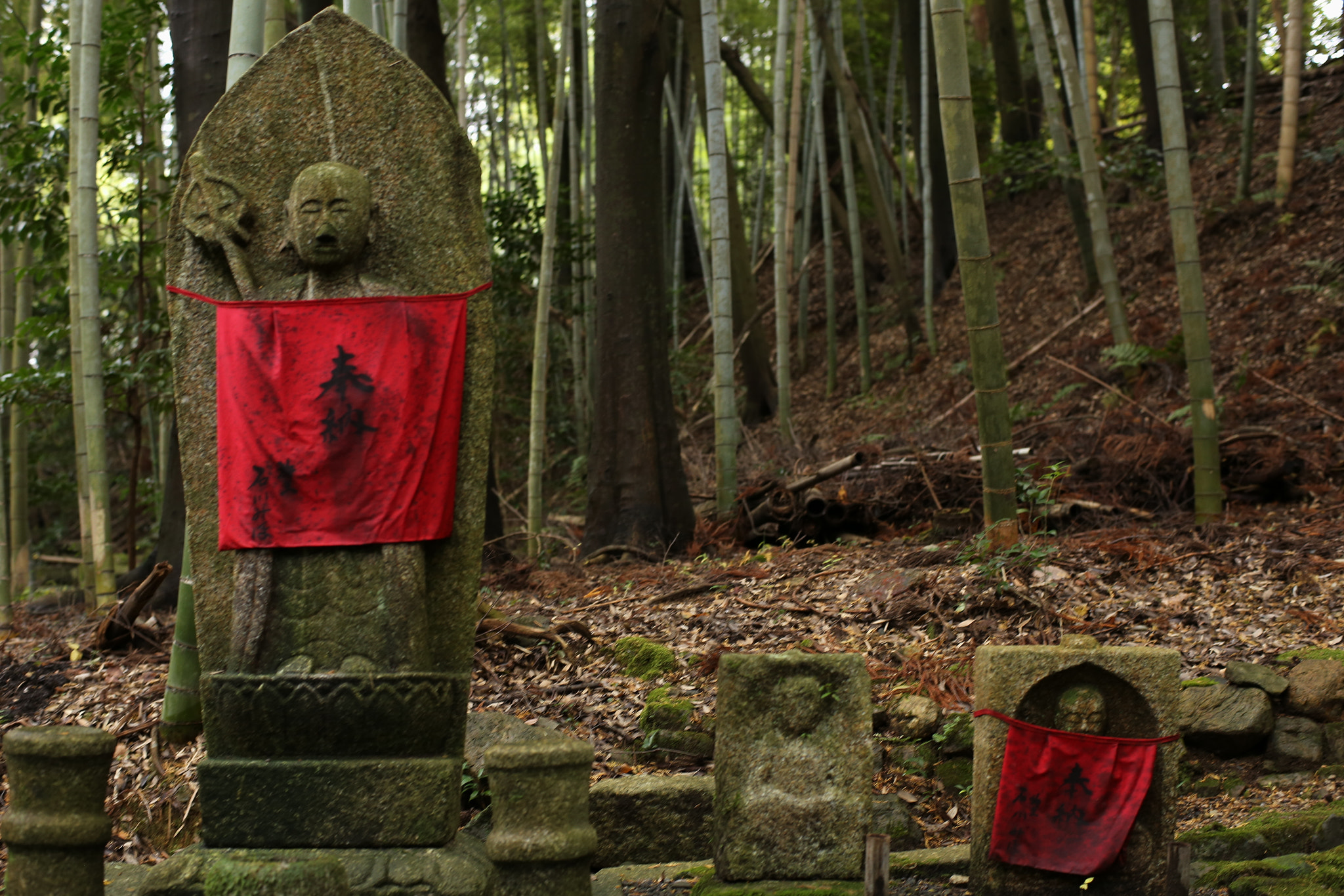 ZEISS Planar T* 50mm F1.4 sample photo. Kyoto photography
