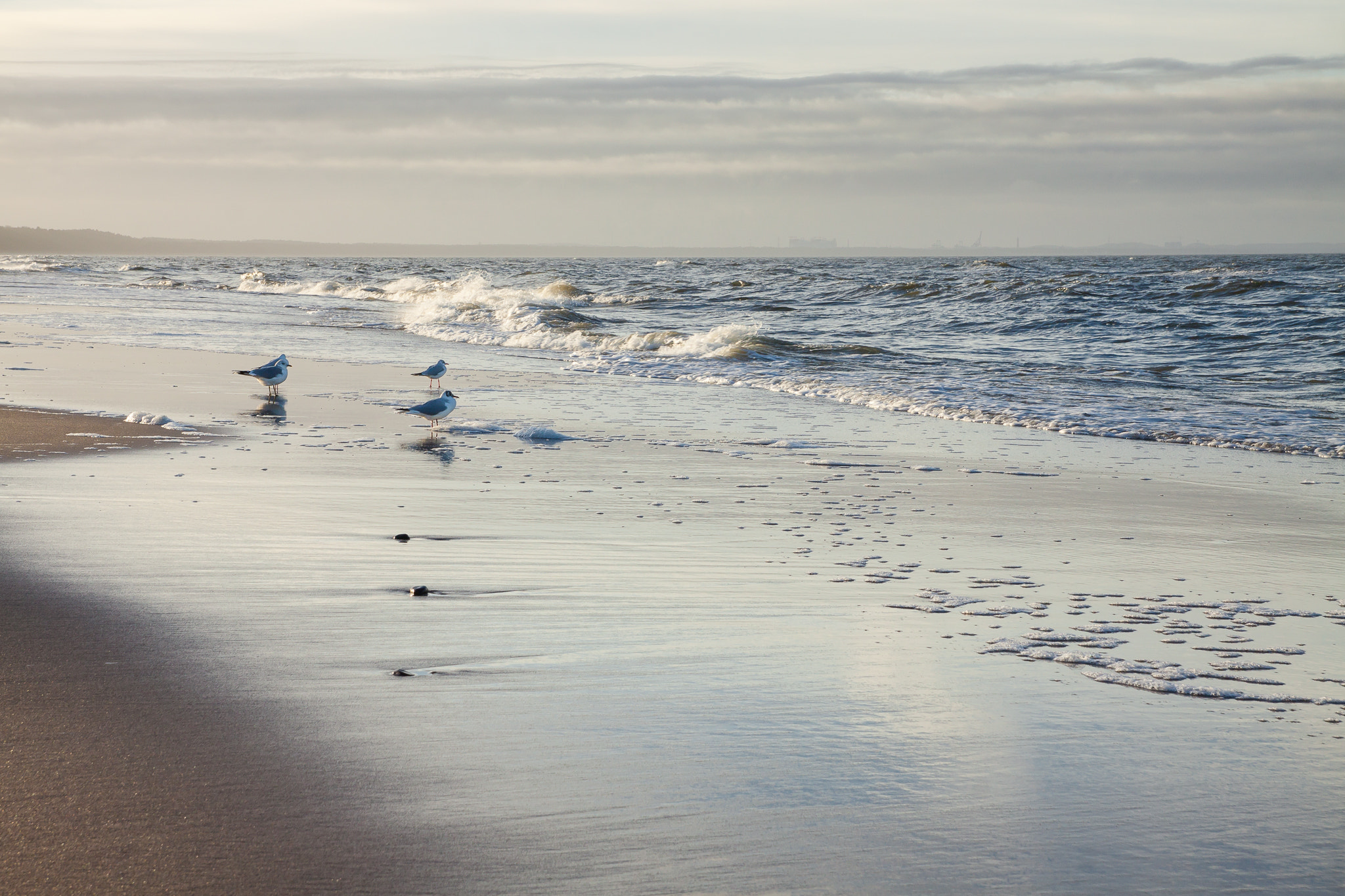 Canon EOS 50D sample photo. Lng terminal in swinoujscie, poland.., if you look carefully ;) photography