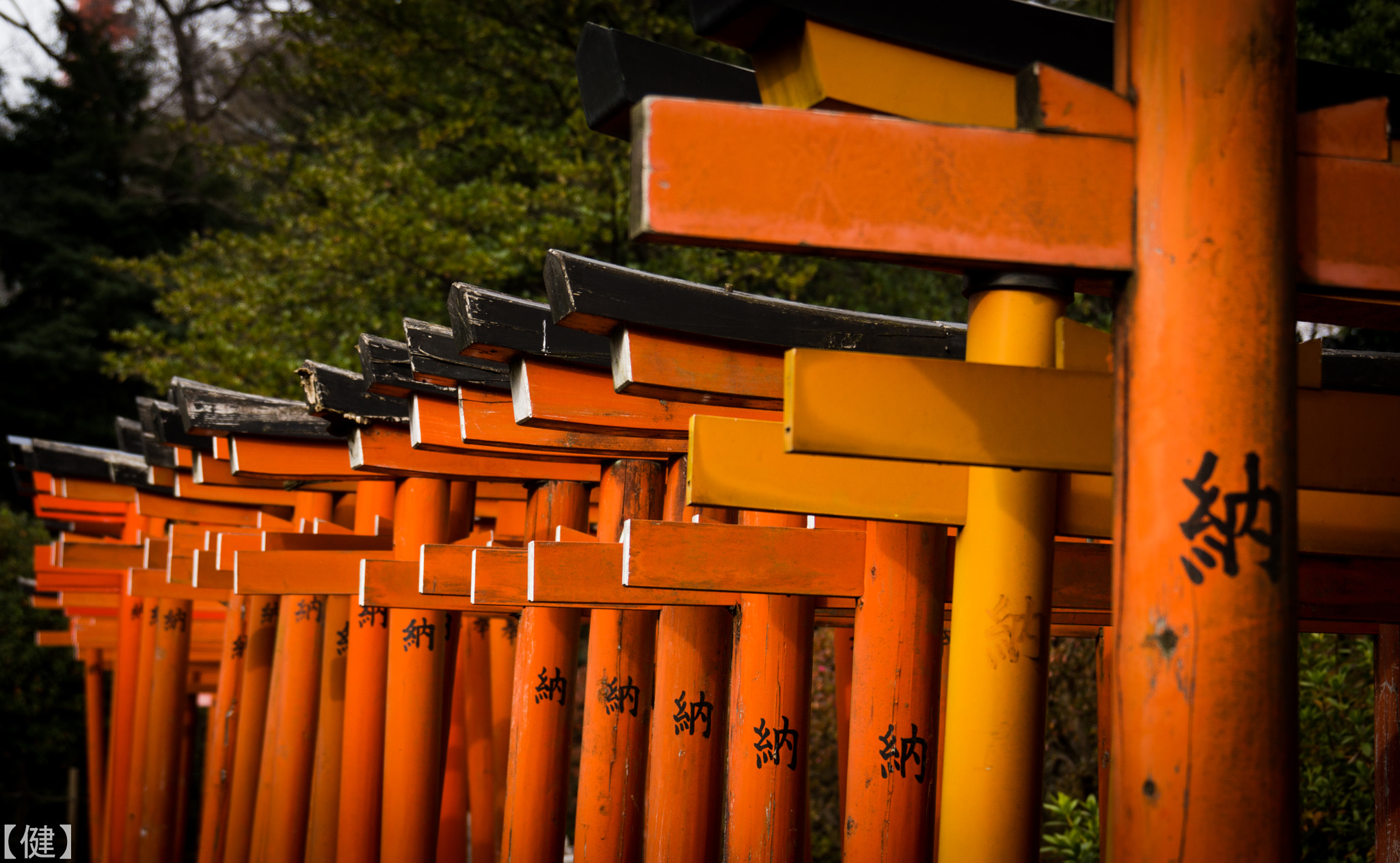 Sony E 18-200mm F3.5-6.3 OSS sample photo. Nezu shrine tokyo photography