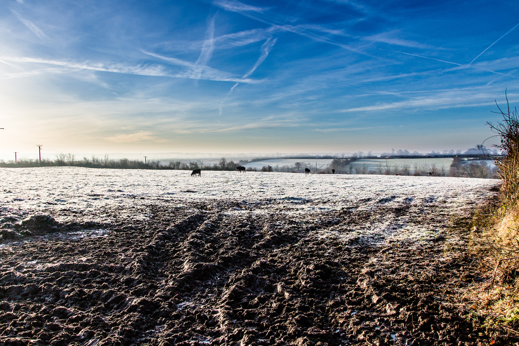 Canon EOS 100D (EOS Rebel SL1 / EOS Kiss X7) + Canon TS-E 90mm F2.8 Tilt-Shift sample photo. Matin d'hiver sur la campagne photography