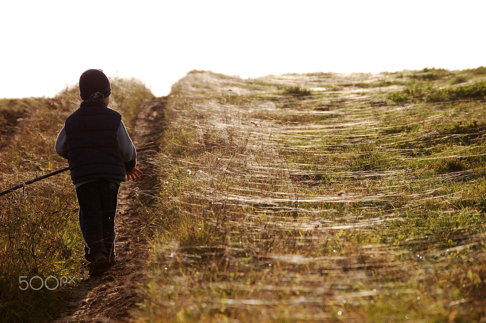 Nikon D50 sample photo. Walking boy photography