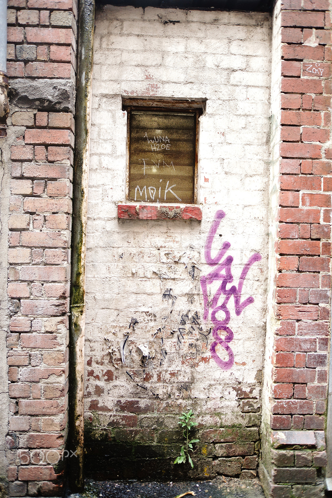Sony SLT-A99V sample photo. Callejearte photography