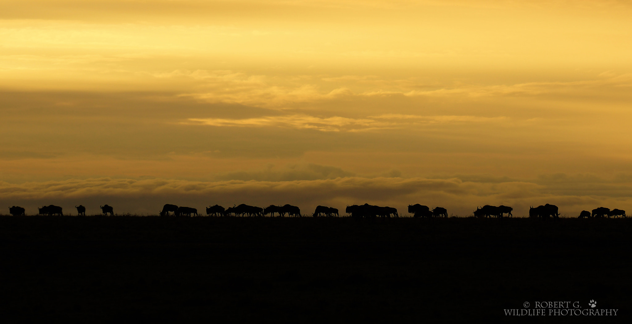 Sony SLT-A77 sample photo. Sunset in masai mara photography