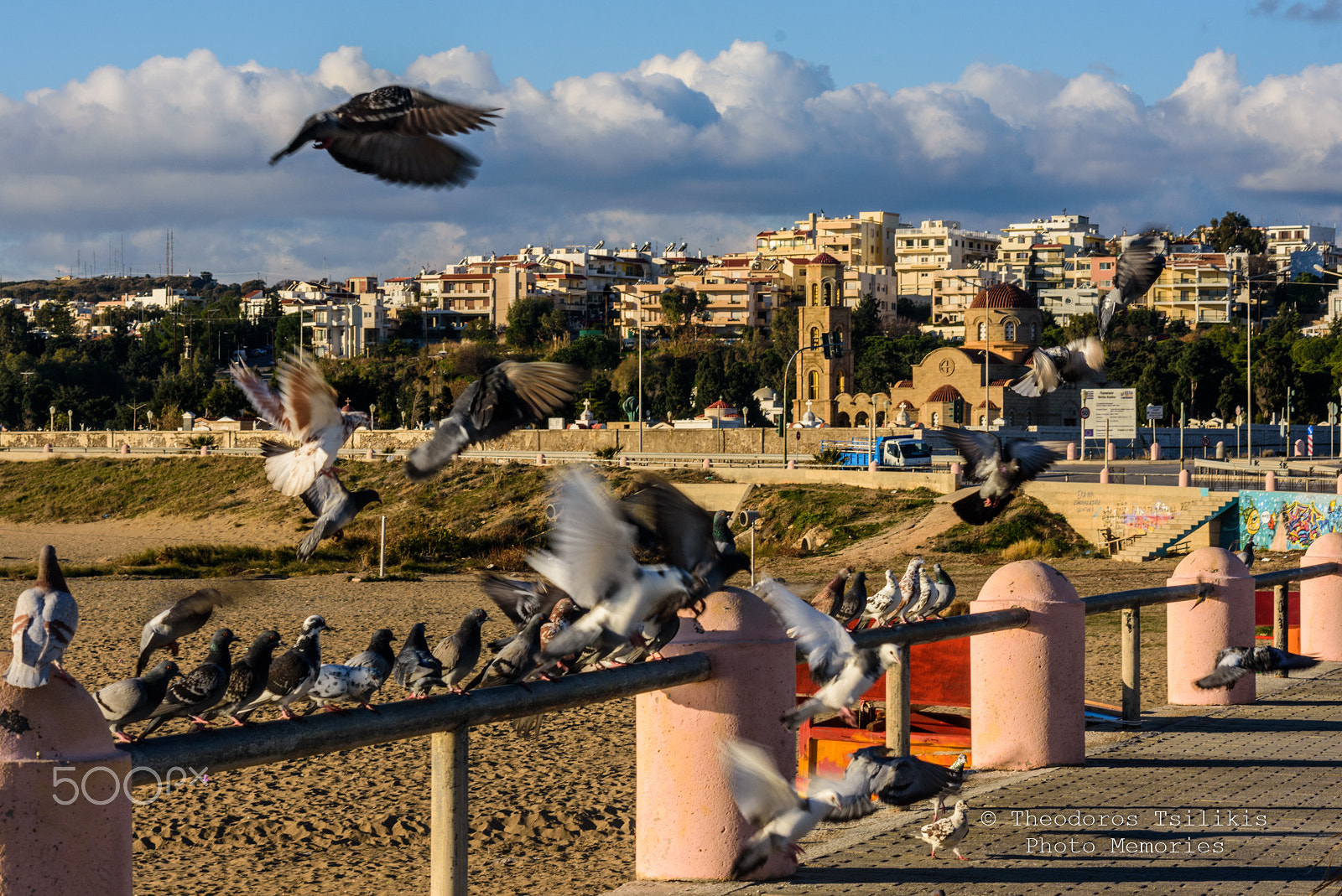 Sigma 70-300mm F4-5.6 APO DG Macro sample photo. Feathers in the city photography