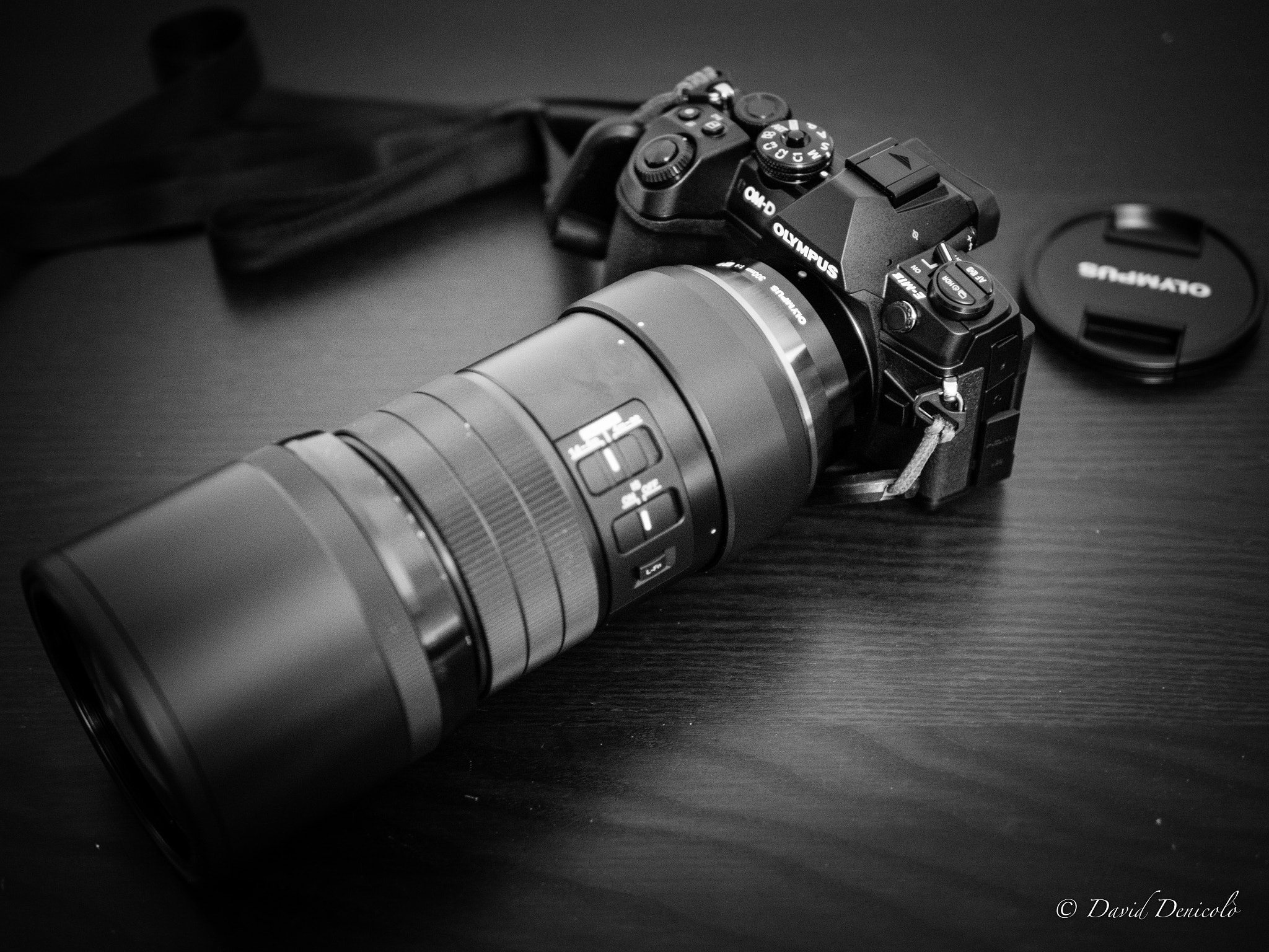 Olympus OM-D E-M5 II + Panasonic Leica DG Summilux 25mm F1.4 II ASPH sample photo. Olympus e-m1 mk2 and zuiko 300mm photography