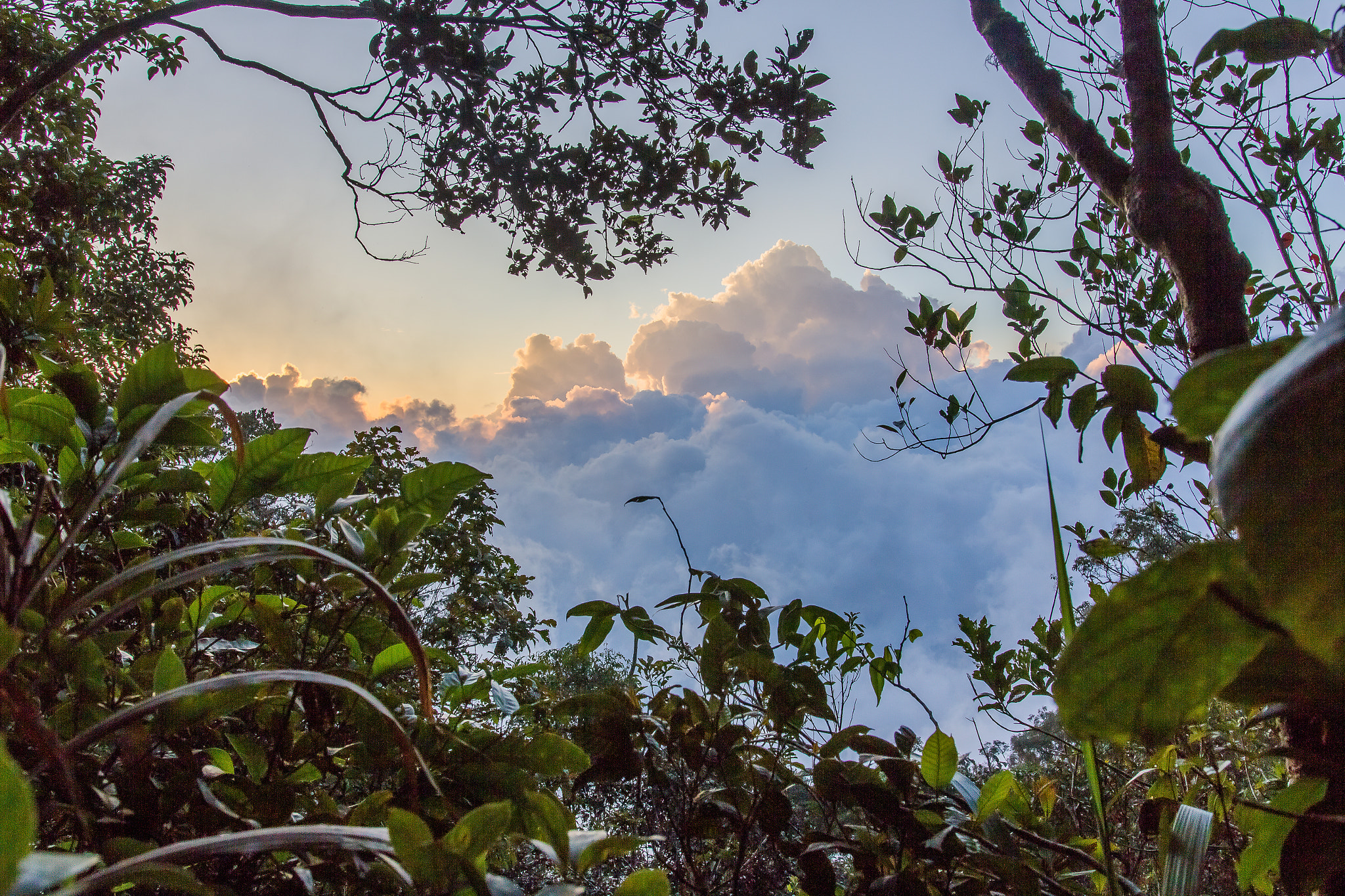 Sigma 18-35mm f/1.8 DC HSM sample photo. "opening on clouds" photography